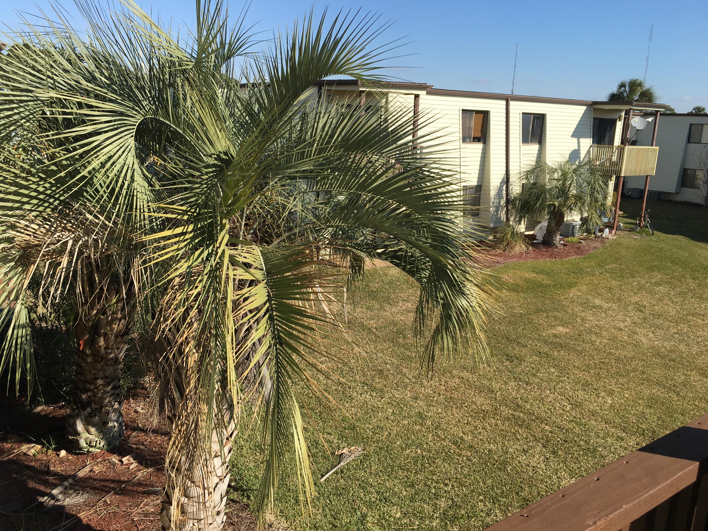 FOUNTAINHEAD CONDO - Residential