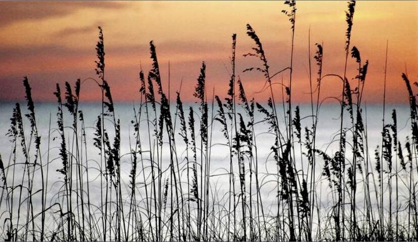 SOUND HAVEN - Residential