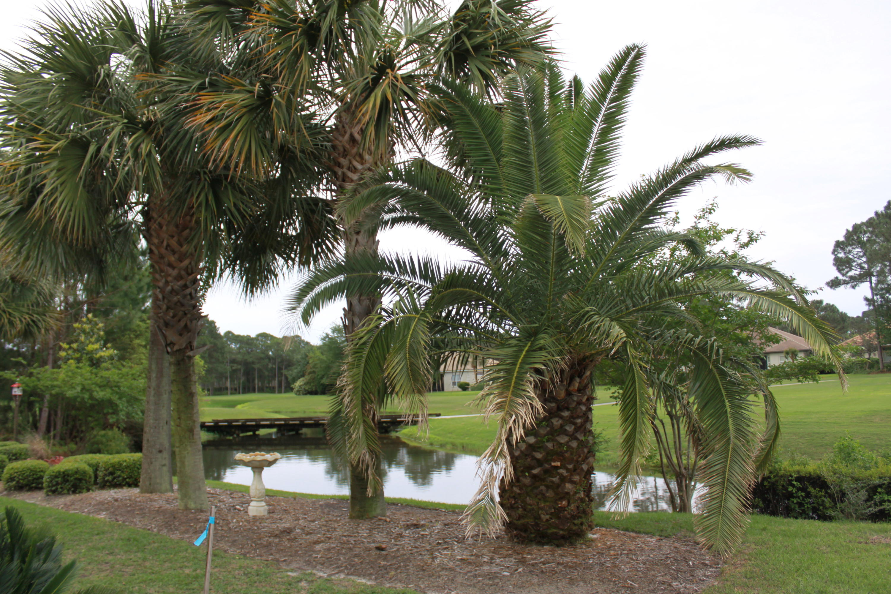 EMERALD BAY PH 1A - Residential