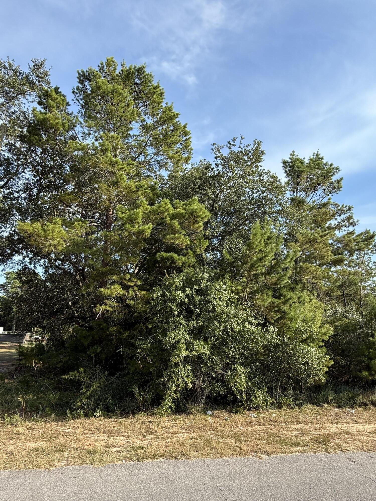 The perfect canvas for your dream home! This beautiful vacant lot offers a high and dry, Flood Zone X, ideal for building with confidence and peace of mind. Imagine your future home nestled here, with plenty of space to design the lifestyle you've been dreaming of. The rear of the property features a powerline easement, creating a buffer of open space behind you--adding a sense of privacy and extra breathing room. Conveniently located yet tucked away enough to enjoy some tranquility, this lot is ready for your vision to come to life.