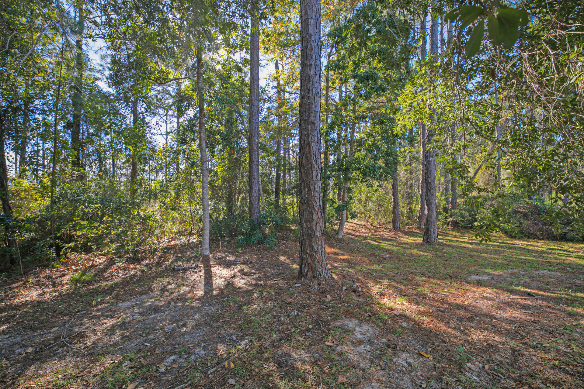 MACK BAYOU ESTATES - Residential Lease