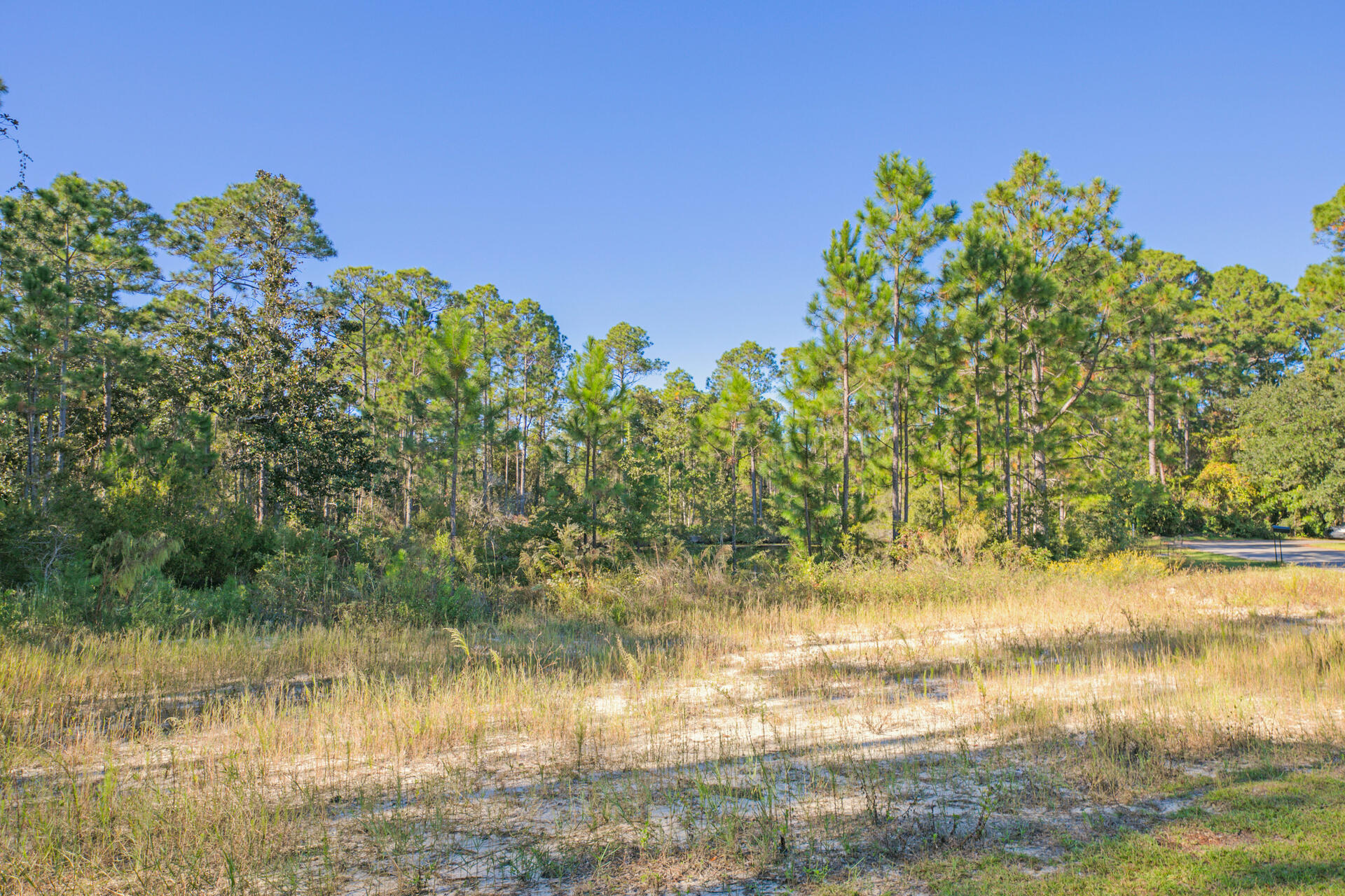 MACK BAYOU ESTATES - Residential Lease