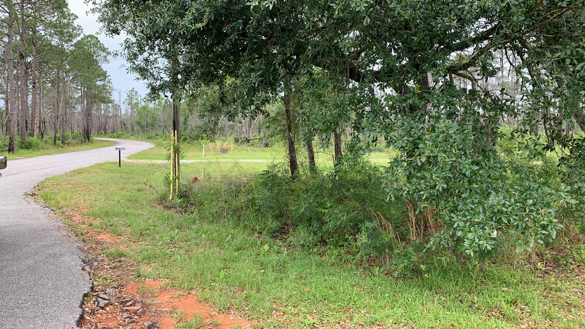 Beautiful Large completely cleared lot, ready to build your dream home. Lot was combined to a single parcel from 4, possible to subdivide back into 4 lots. Beautiful water views. Lot has a septic tank, water, and electric. There is a 4200 sq ft. Roof Only Pole Barn on concrete pad. Don't miss out!All measurements are approximate. buyer to verify