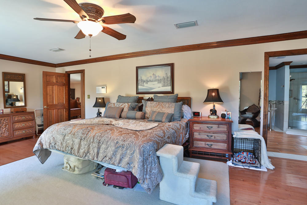 LE CHATEAU - Residential