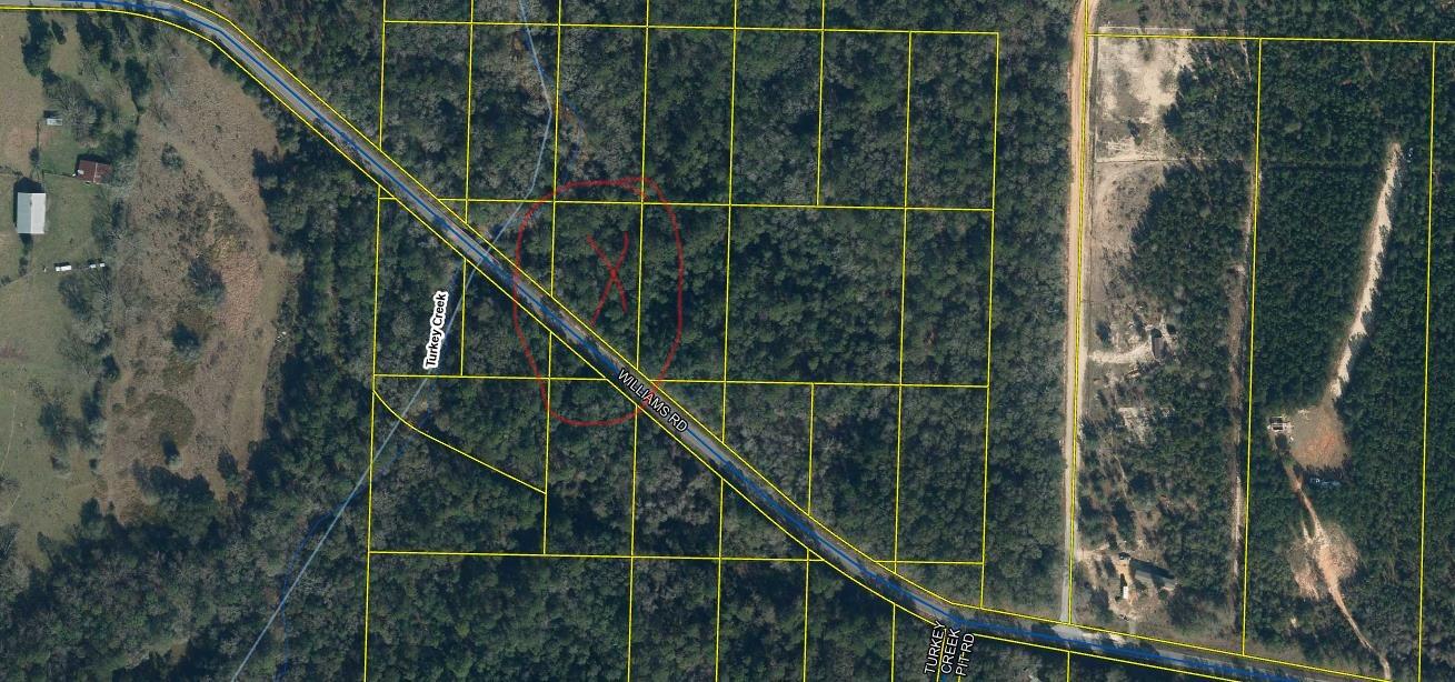 Beautiful lot on Williams Rd. Be close to town but enjoy the peace and quiet of the country. Property is in flood zone A and is near Turkey Creek.