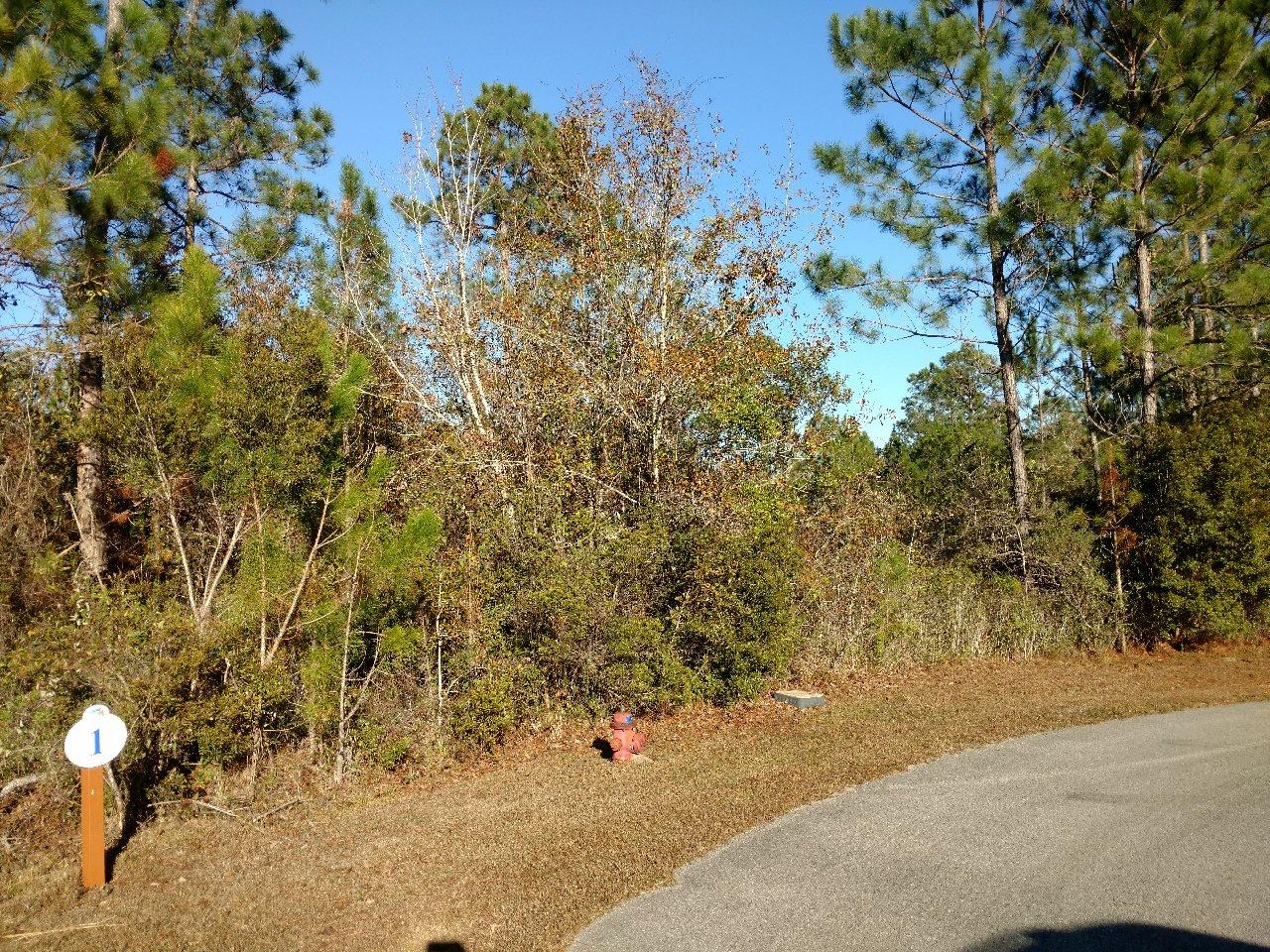 BEAR CREEK COTTAGES - Land