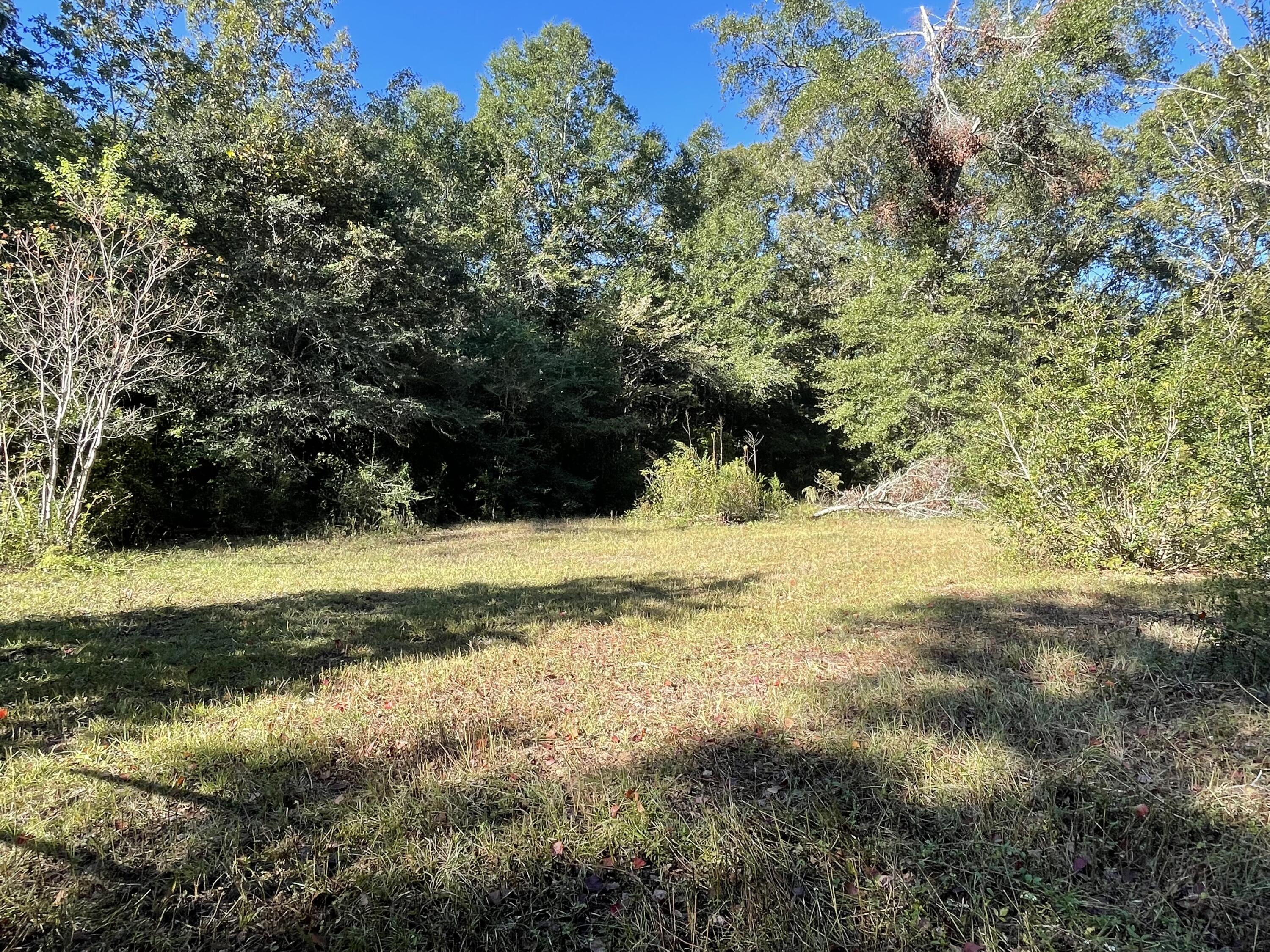 LAKEWOOD PLANTATIONS - Land