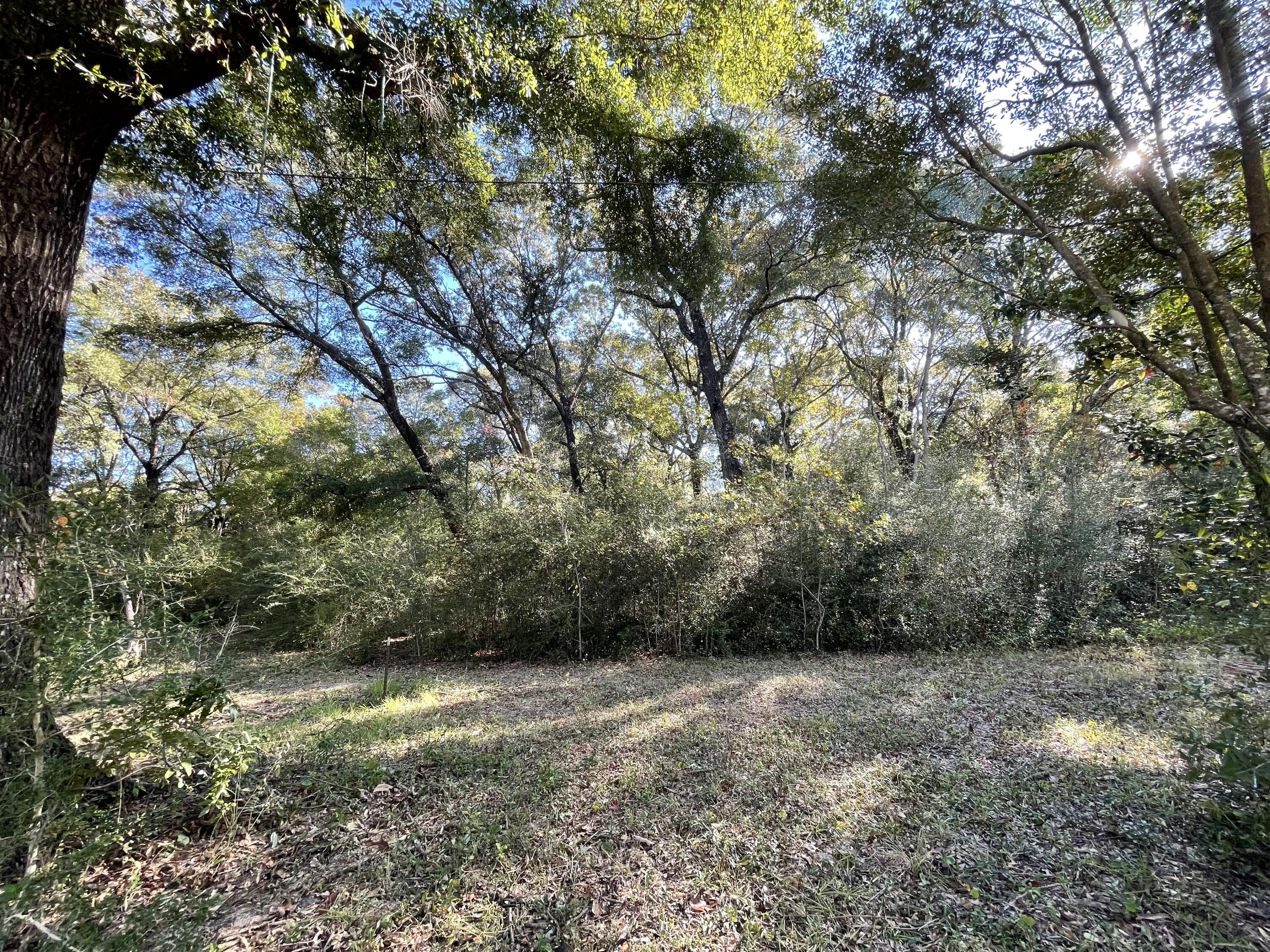 LAKEWOOD PLANTATIONS - Land