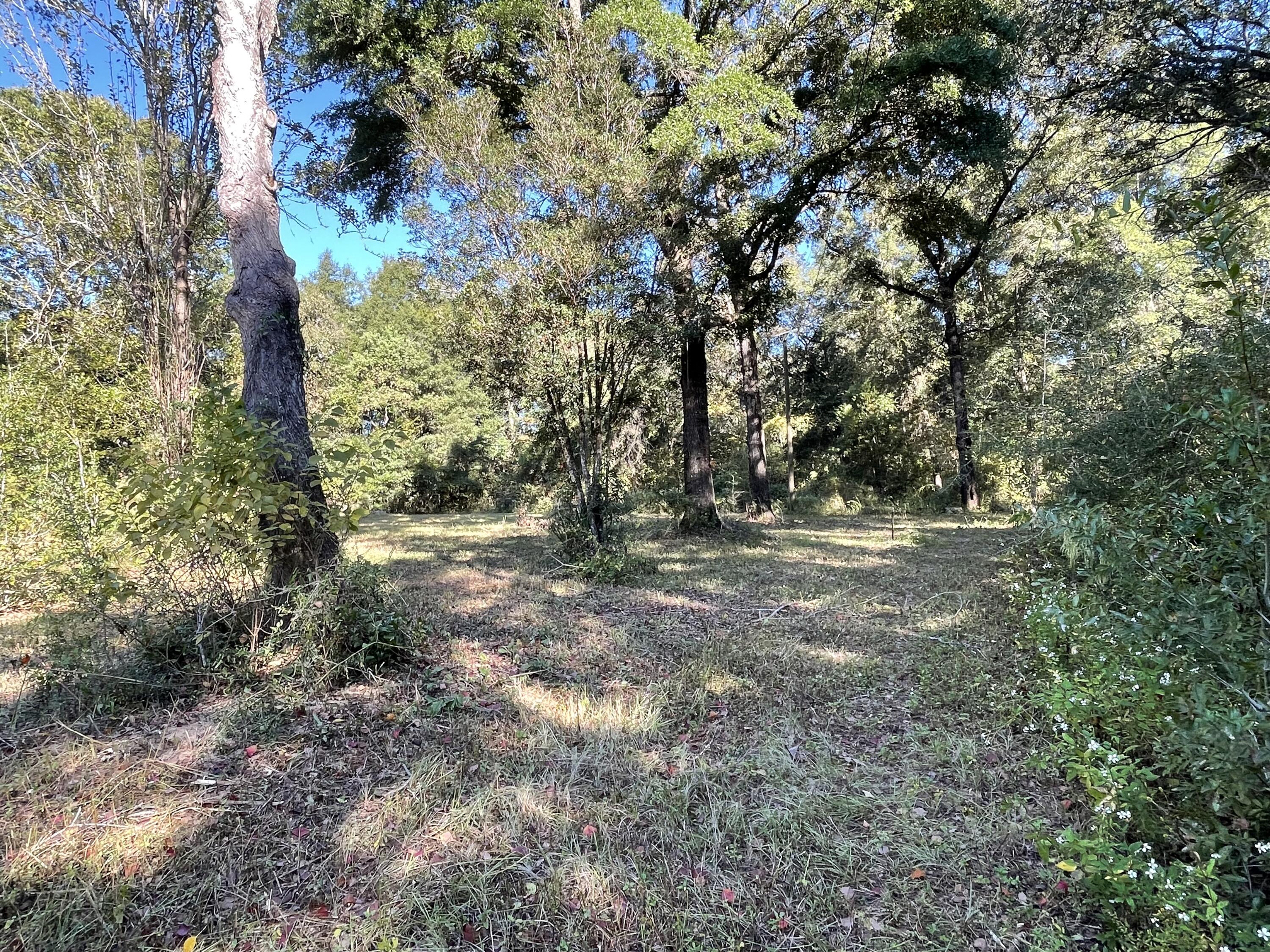 LAKEWOOD PLANTATIONS - Land