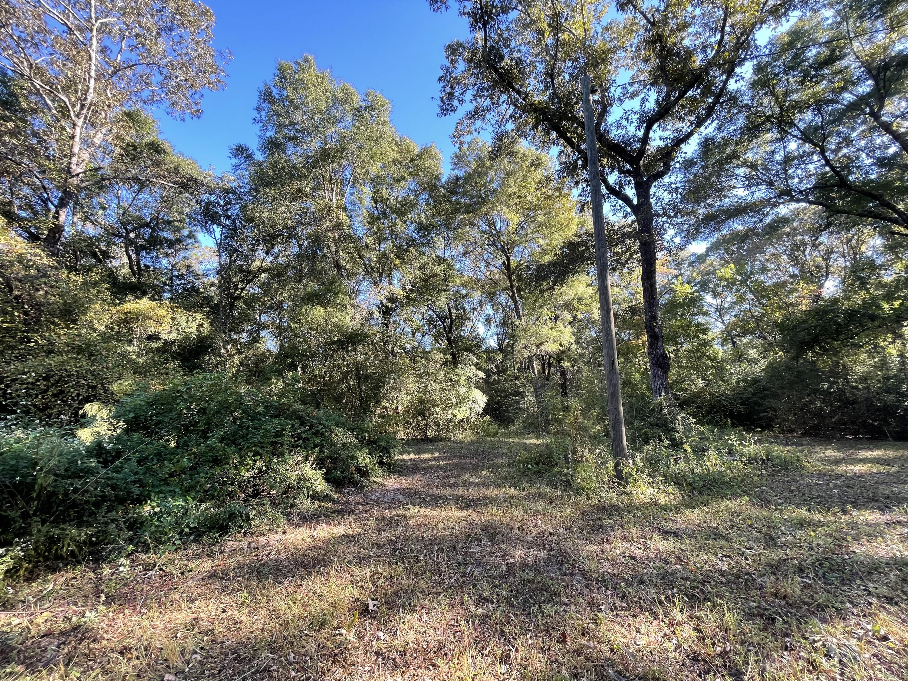 LAKEWOOD PLANTATIONS - Land