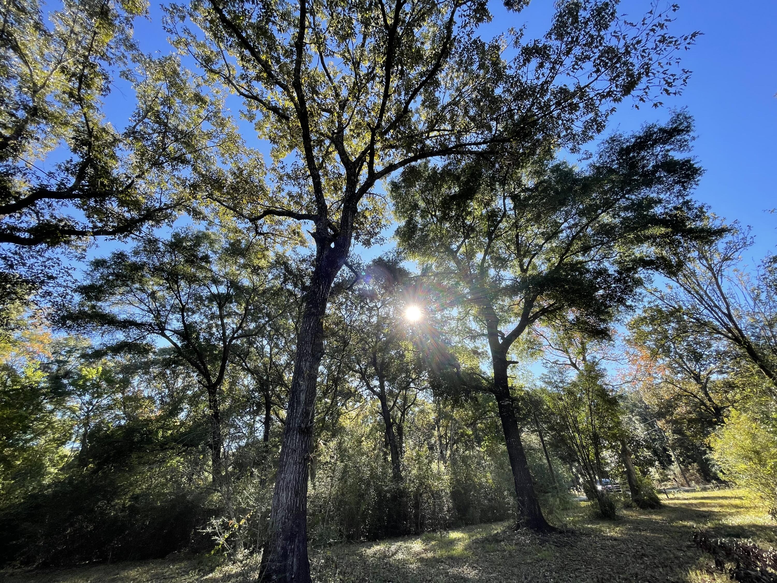LAKEWOOD PLANTATIONS - Land
