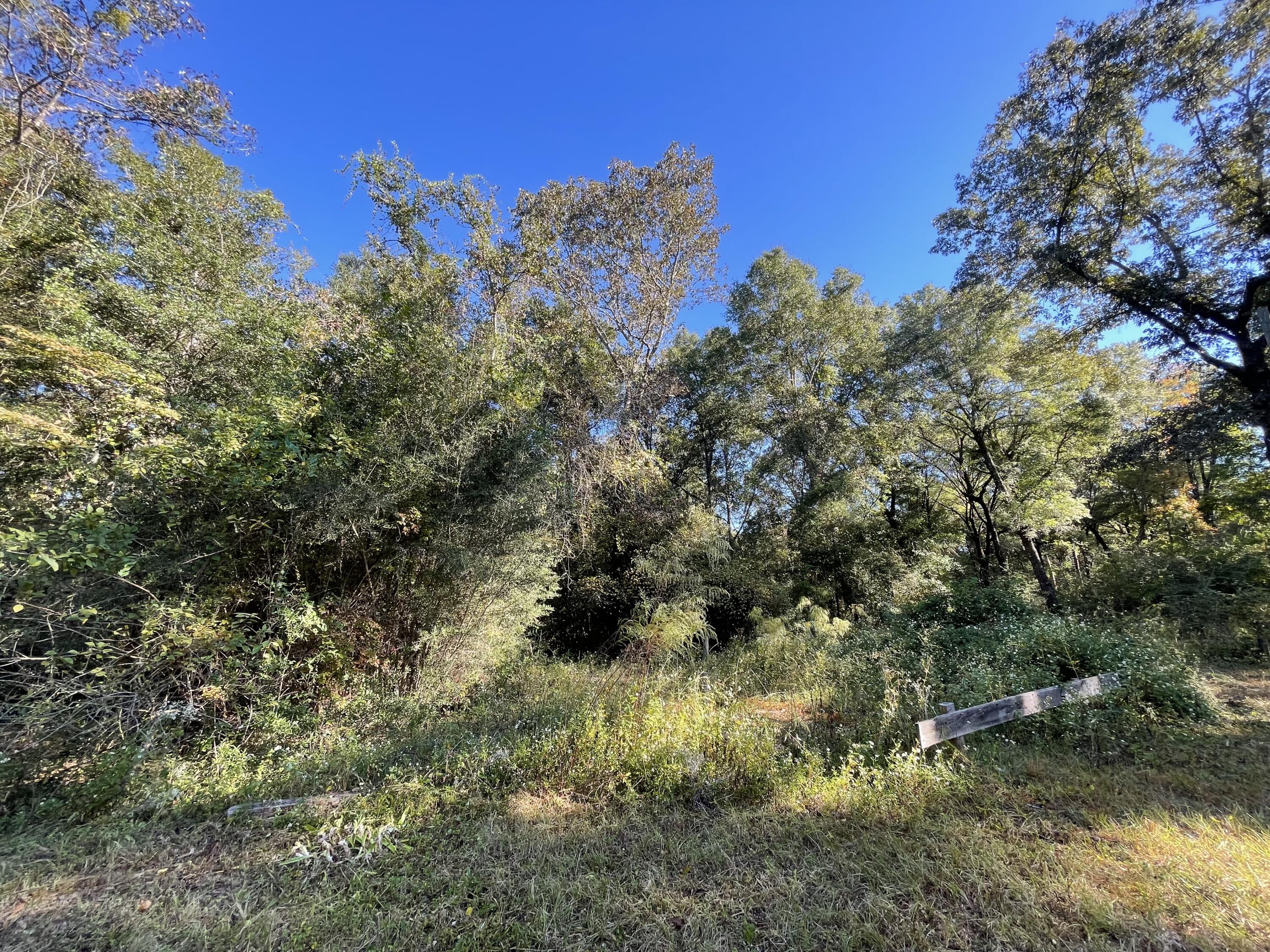 LAKEWOOD PLANTATIONS - Land