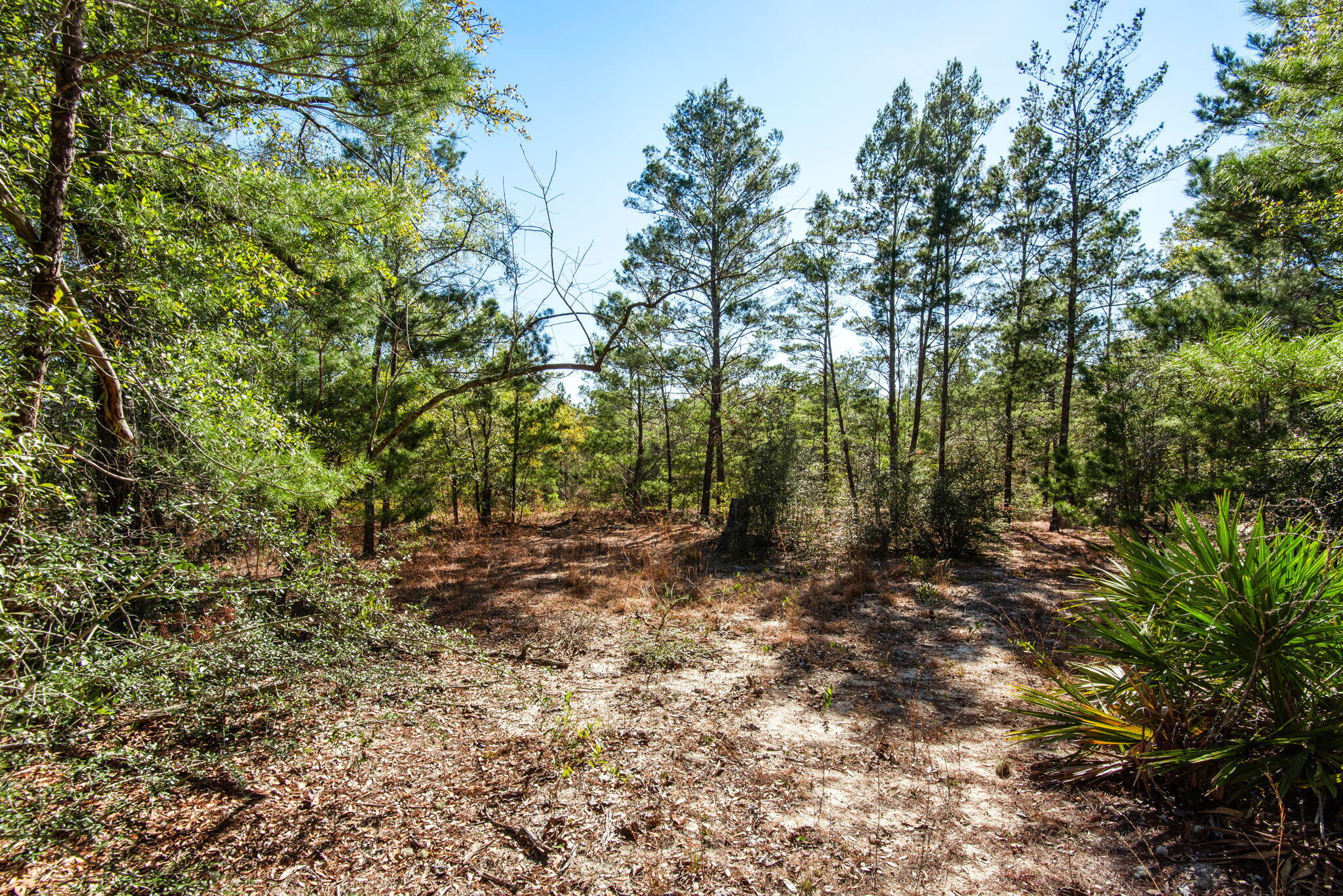 TIMBER WIND ESTATES - Residential