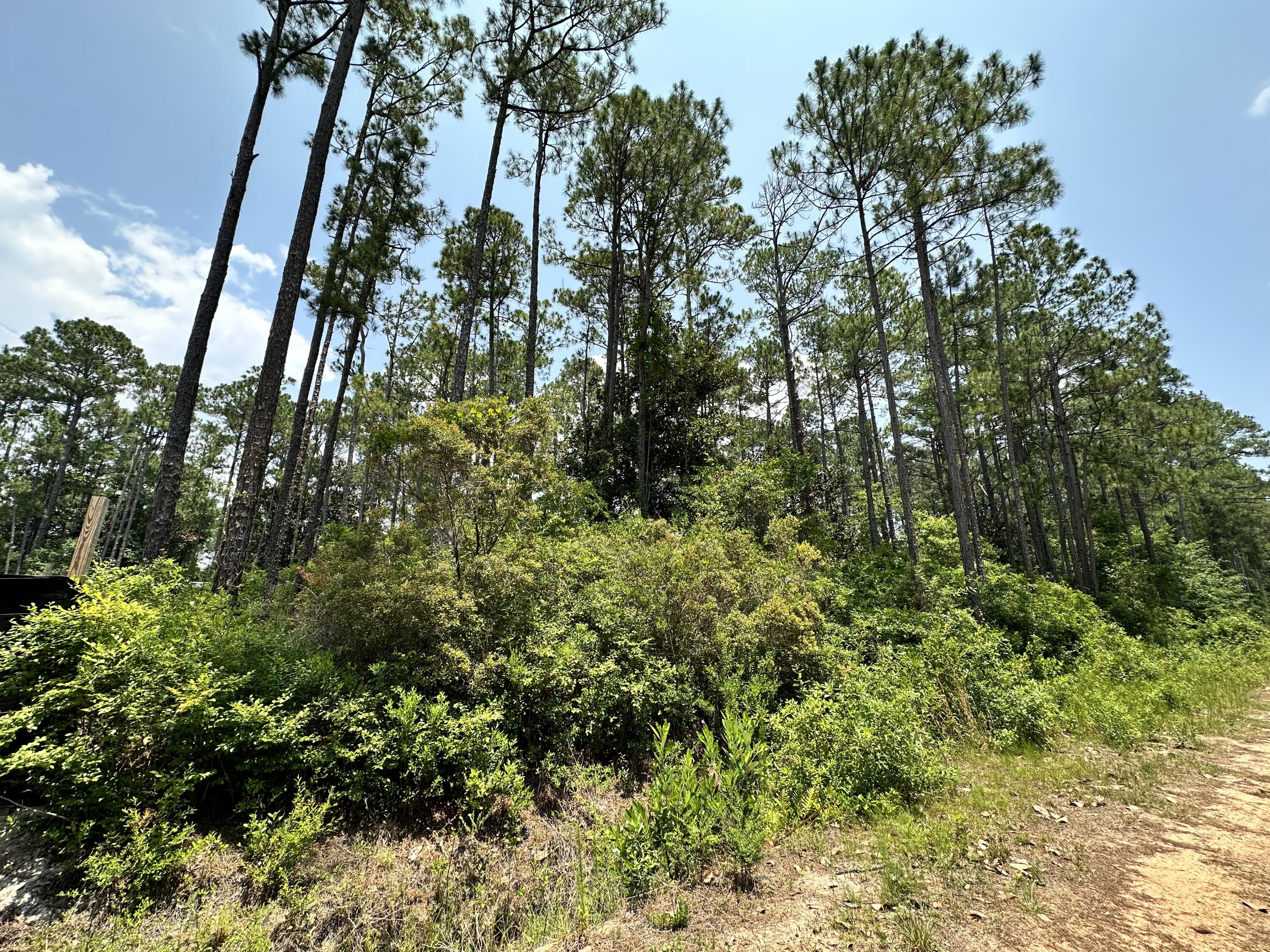 LOT 13 PEPPERTREE FARMS UNRECD S/D - Land