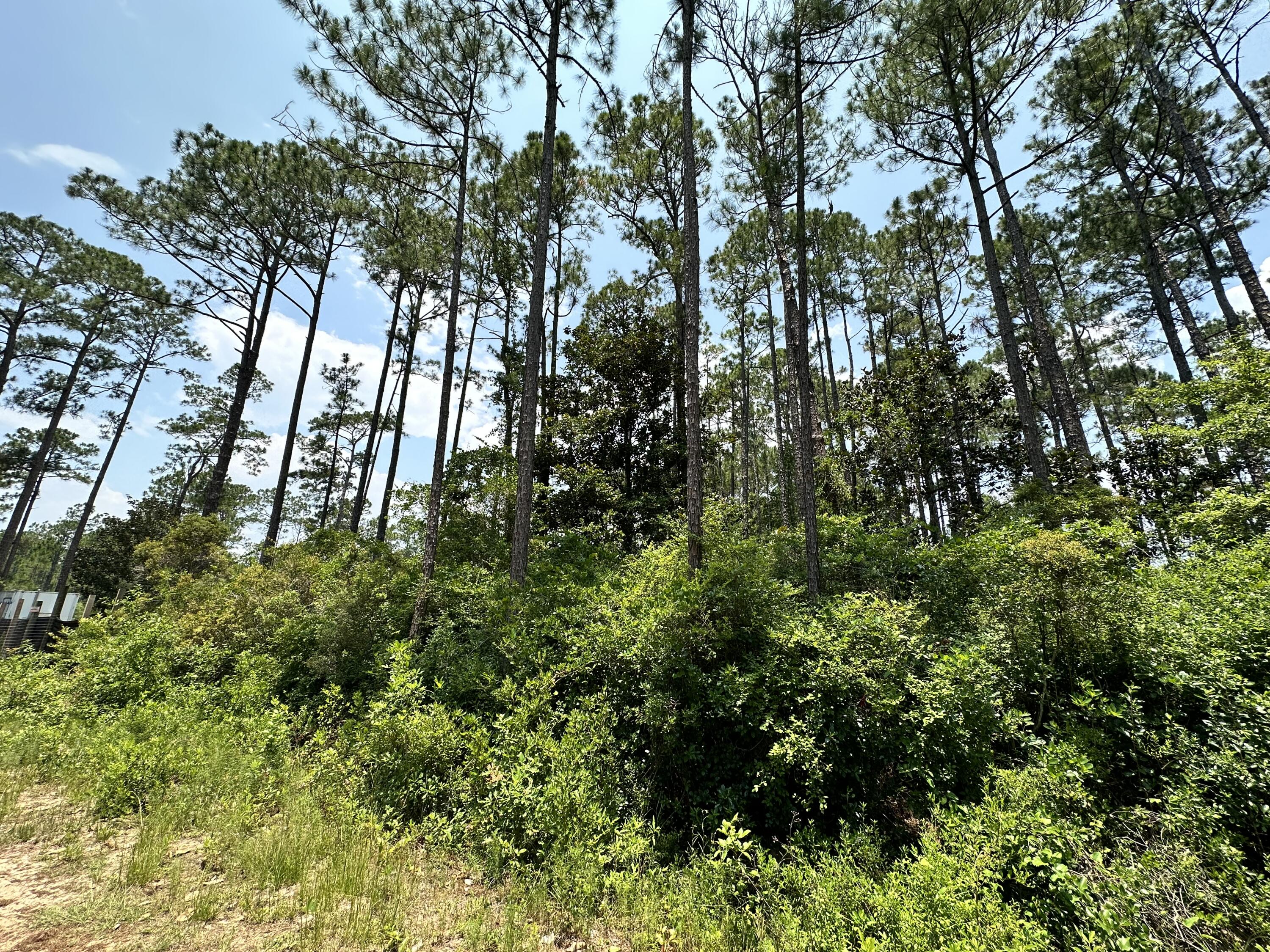 LOT 13 PEPPERTREE FARMS UNRECD S/D - Land