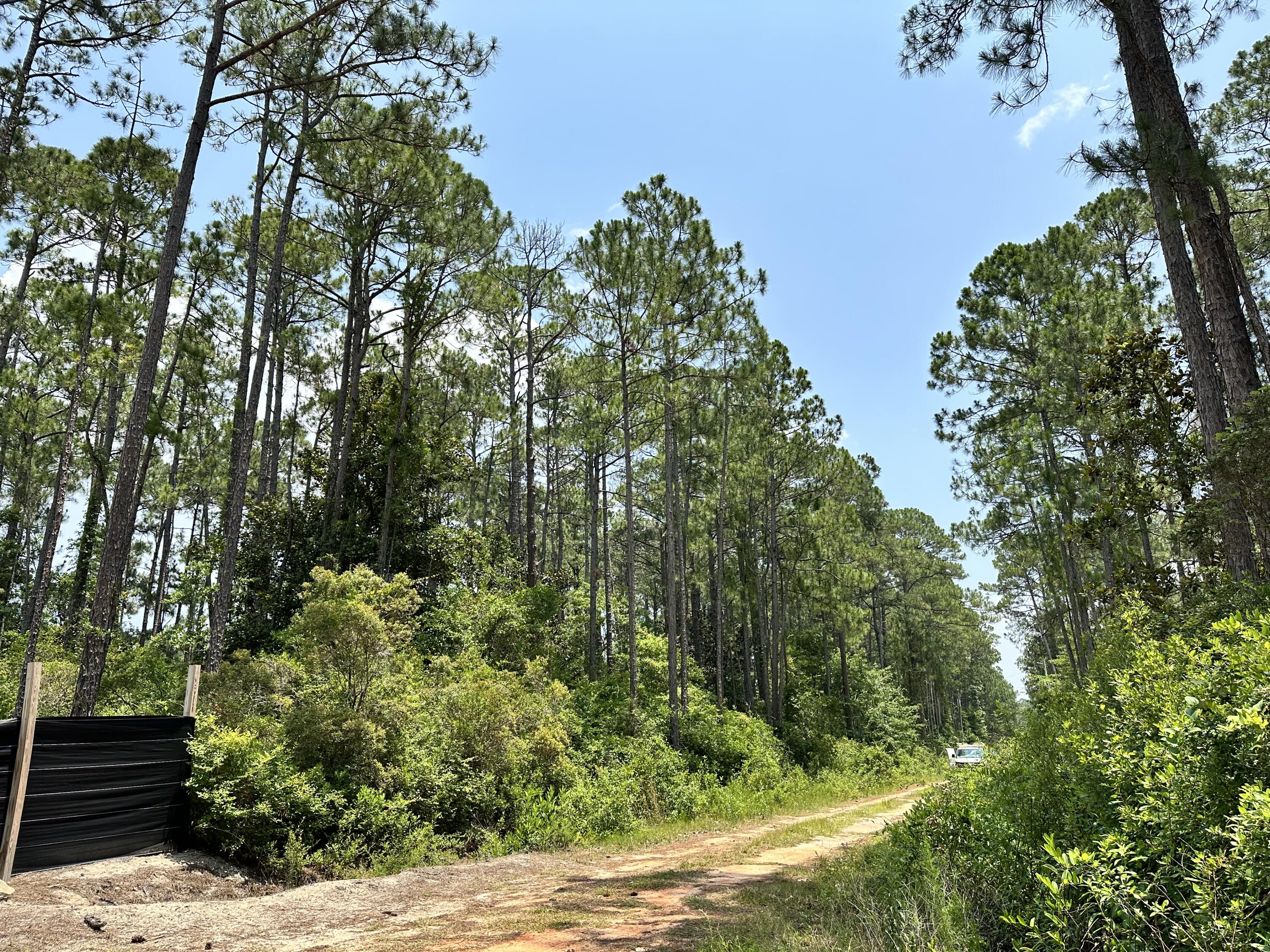 LOT 13 PEPPERTREE FARMS UNRECD S/D - Land