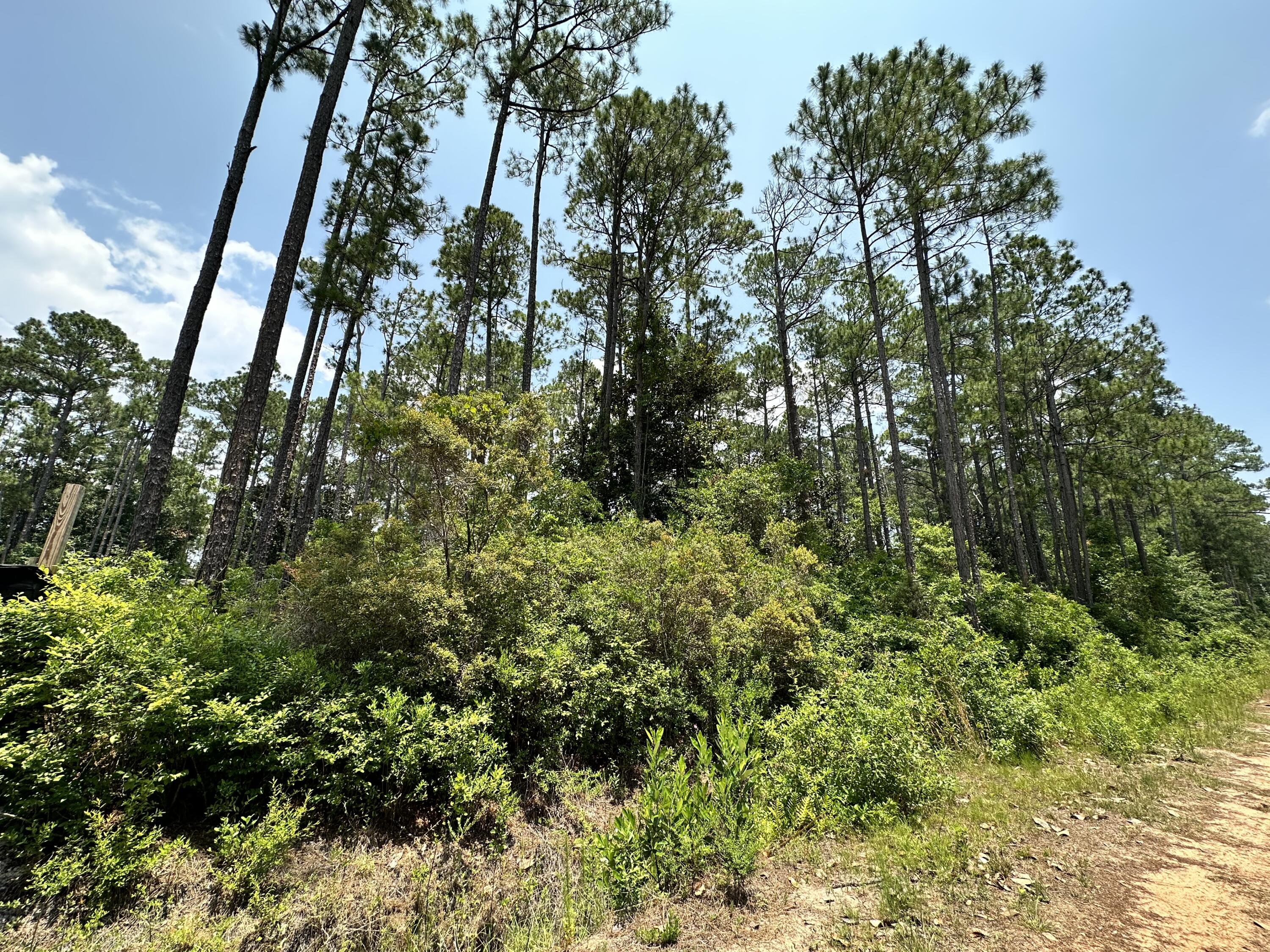 LOT 13 PEPPERTREE FARMS UNRECD S/D - Land