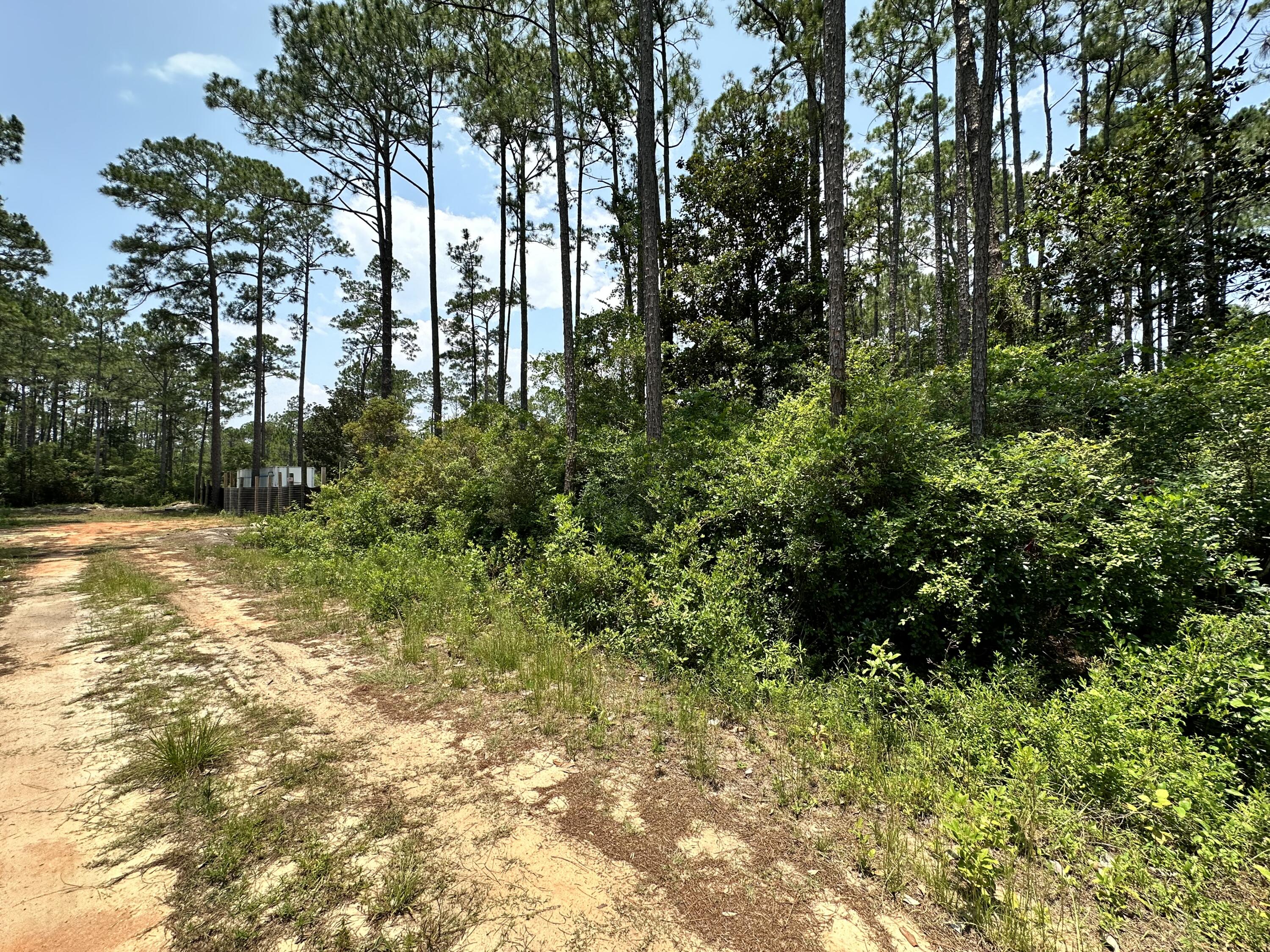 LOT 13 PEPPERTREE FARMS UNRECD S/D - Land