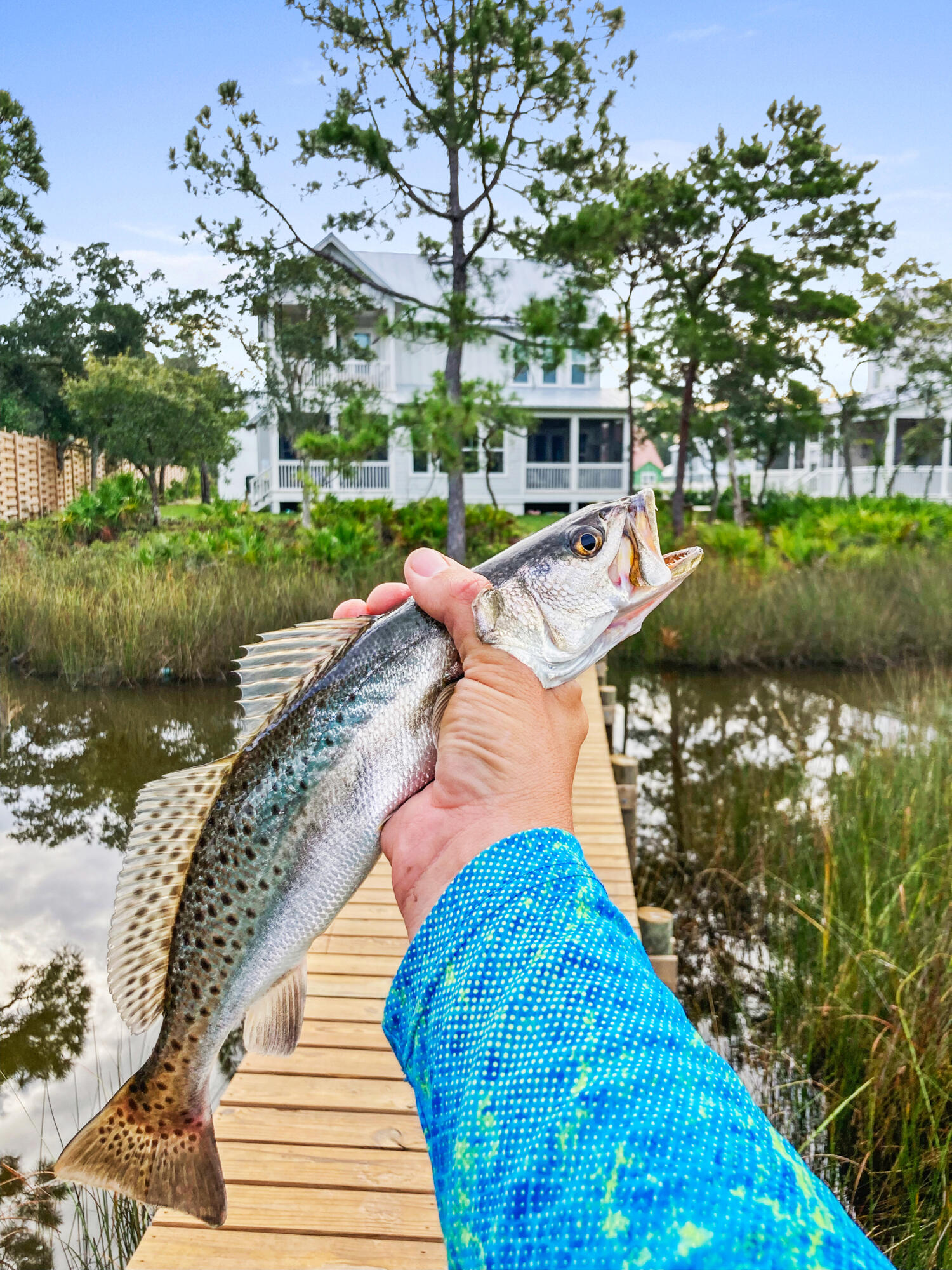 DAXTON ON THE BAY - Residential