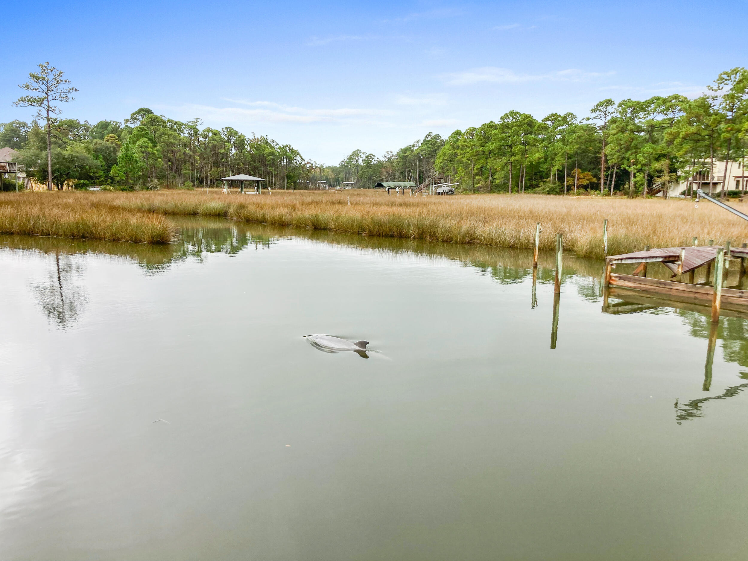 DAXTON ON THE BAY - Residential