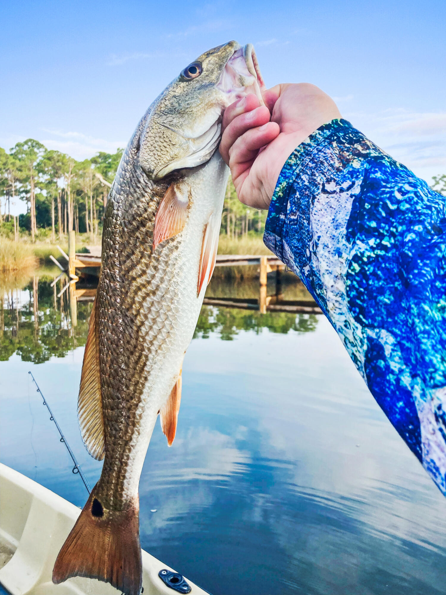 DAXTON ON THE BAY - Residential