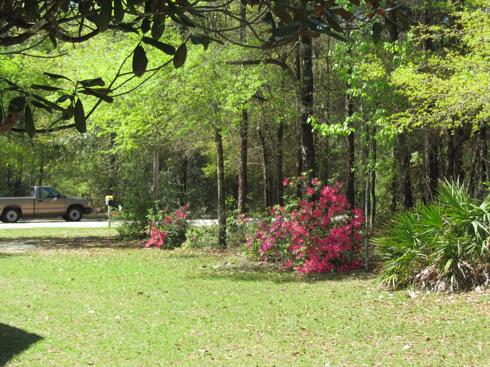 WILDWOOD LAKES - Residential