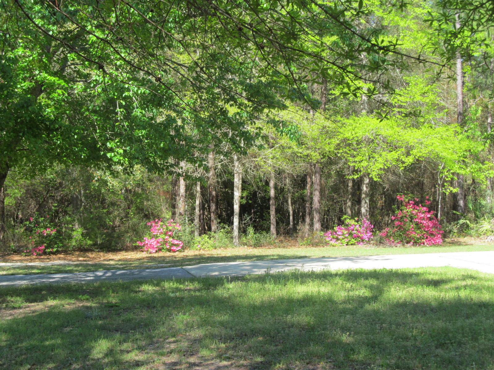 WILDWOOD LAKES - Residential