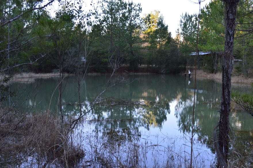 Looking for that RV getaway or private home site with water, then look no further! Very private 18.8 acres on a paved road at the front of the property with aggregate road giving you access at the back of the property as well. Everything is in place for you already with a pole barn on concrete pad, electricity, well and septic tank installed. Barn overlooks the quaint pond and then land gently slopes down to the free-flowing spring and creek. Across the creek you will find timber and then some open ground to convert to pasture or leave natural. Plenty of possibilities with this property and just 3.5 miles from Hwy 285 and Interstate 10. Make your appointment today to view this great property!