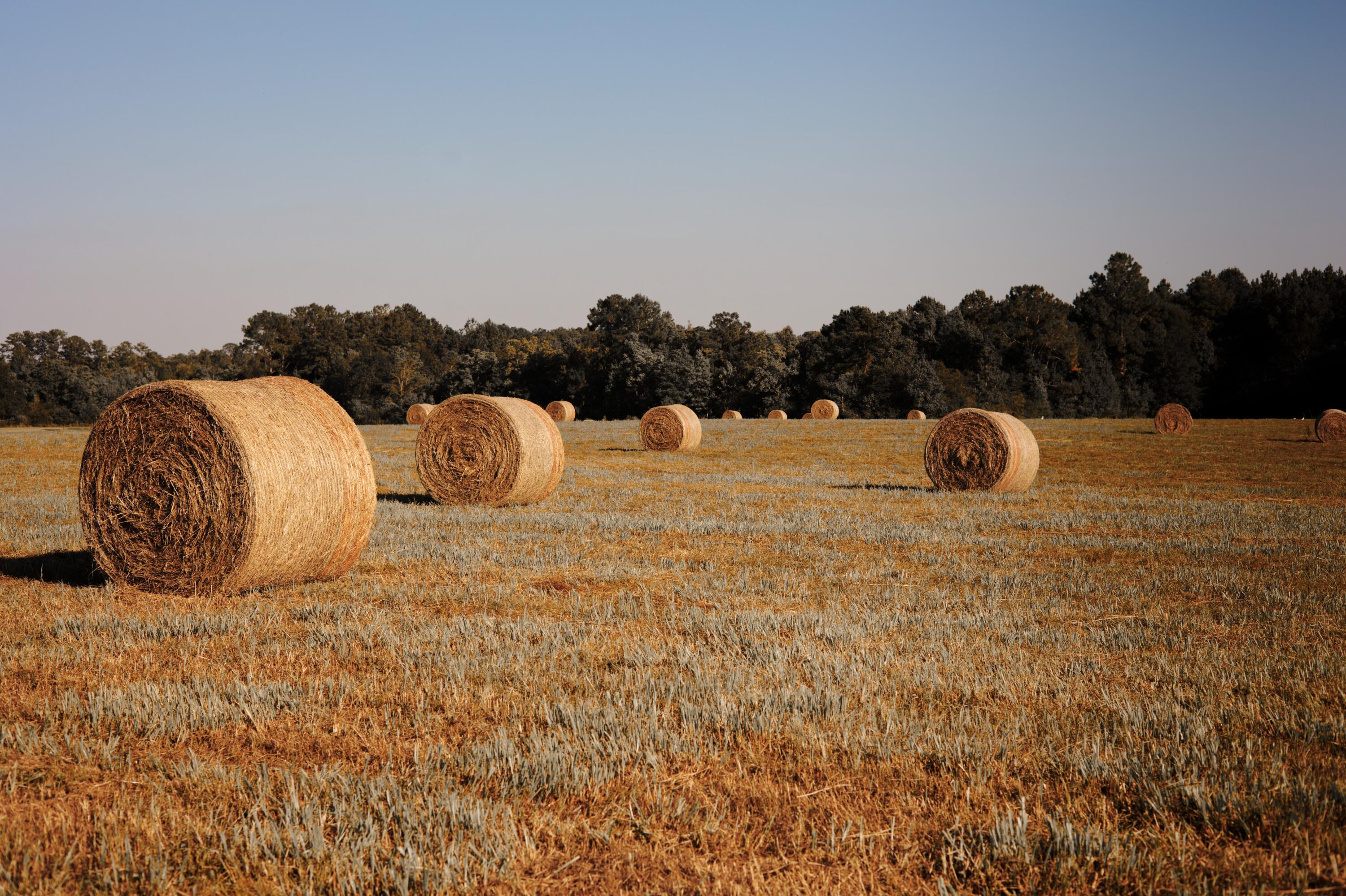 METES & BOUNDS - Farm