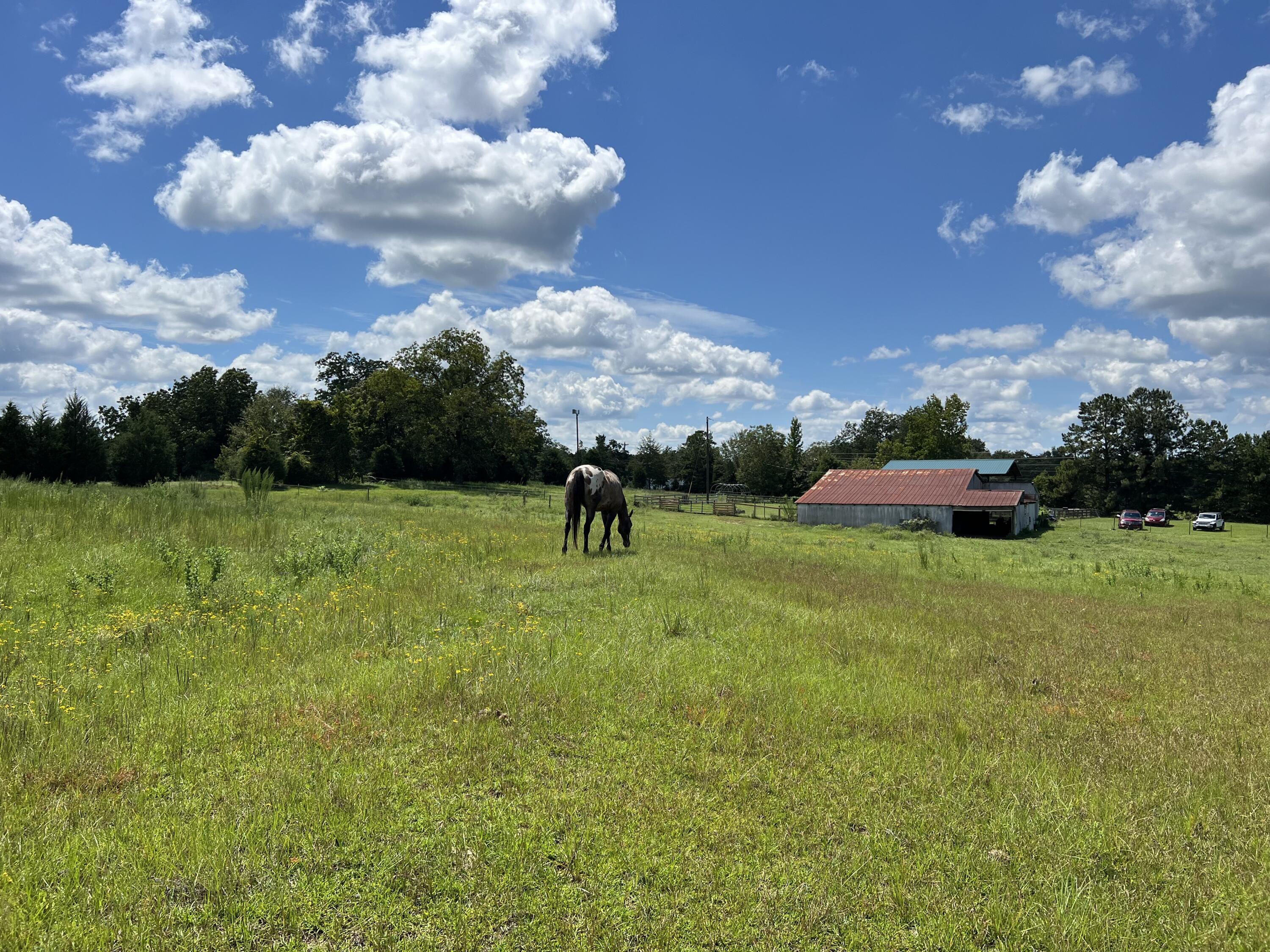 NONESUCH WAY - Farm