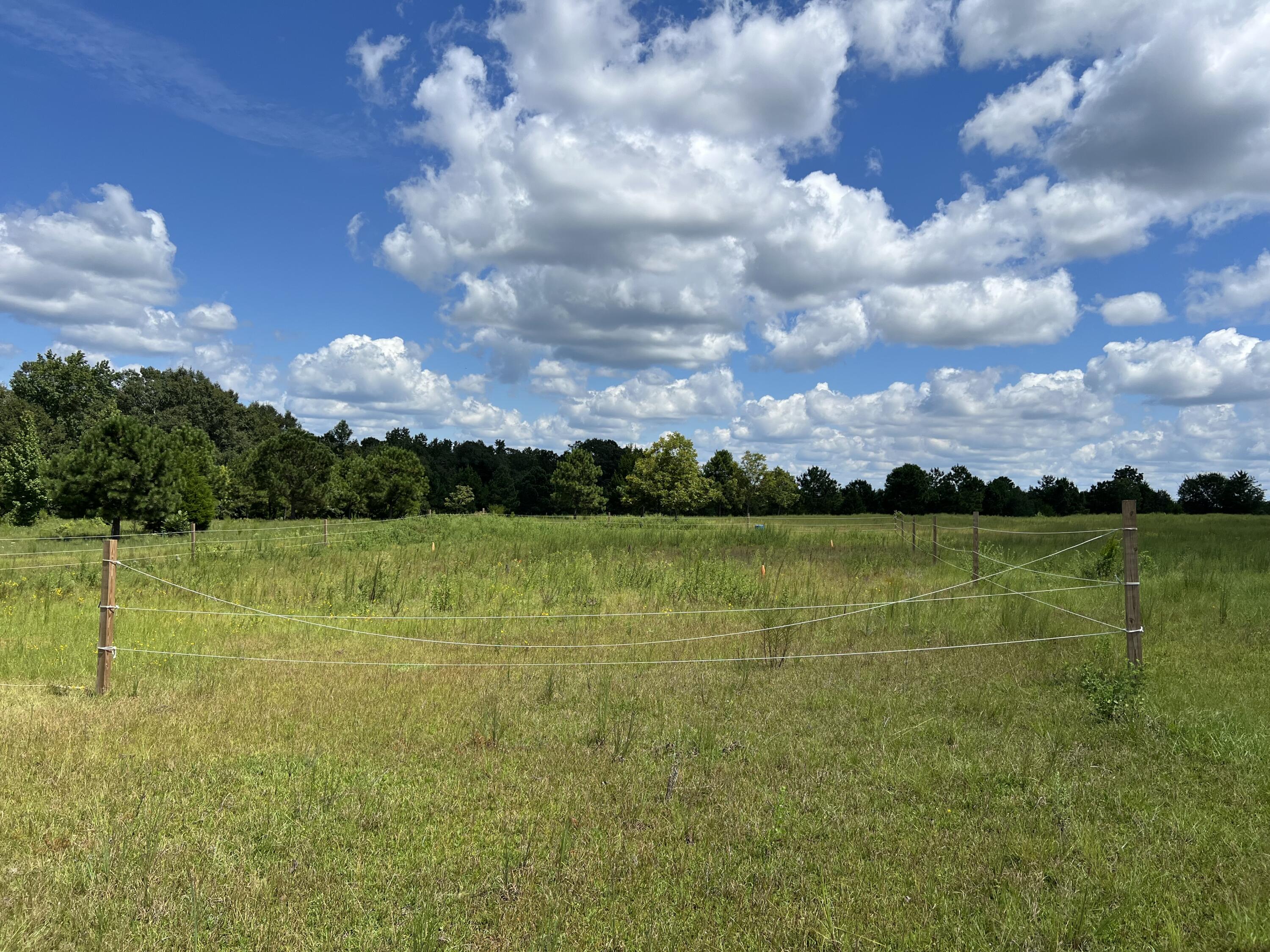 NONESUCH WAY - Farm