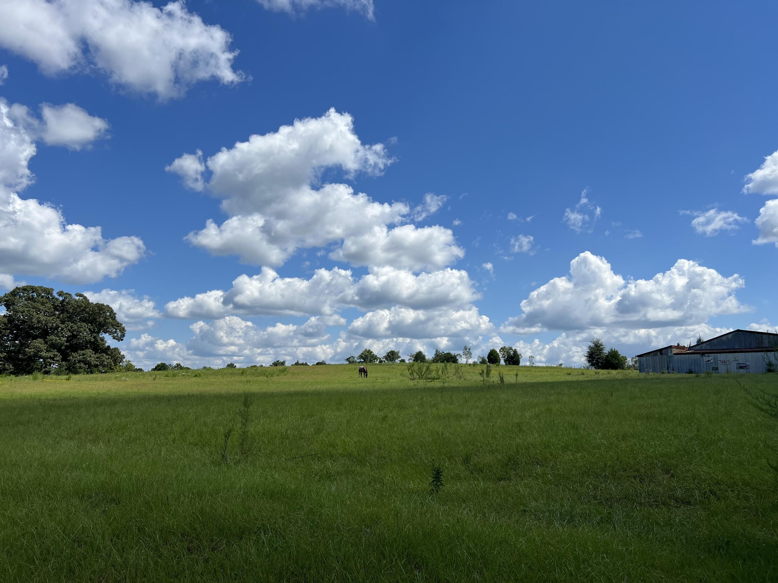 NONESUCH WAY - Farm