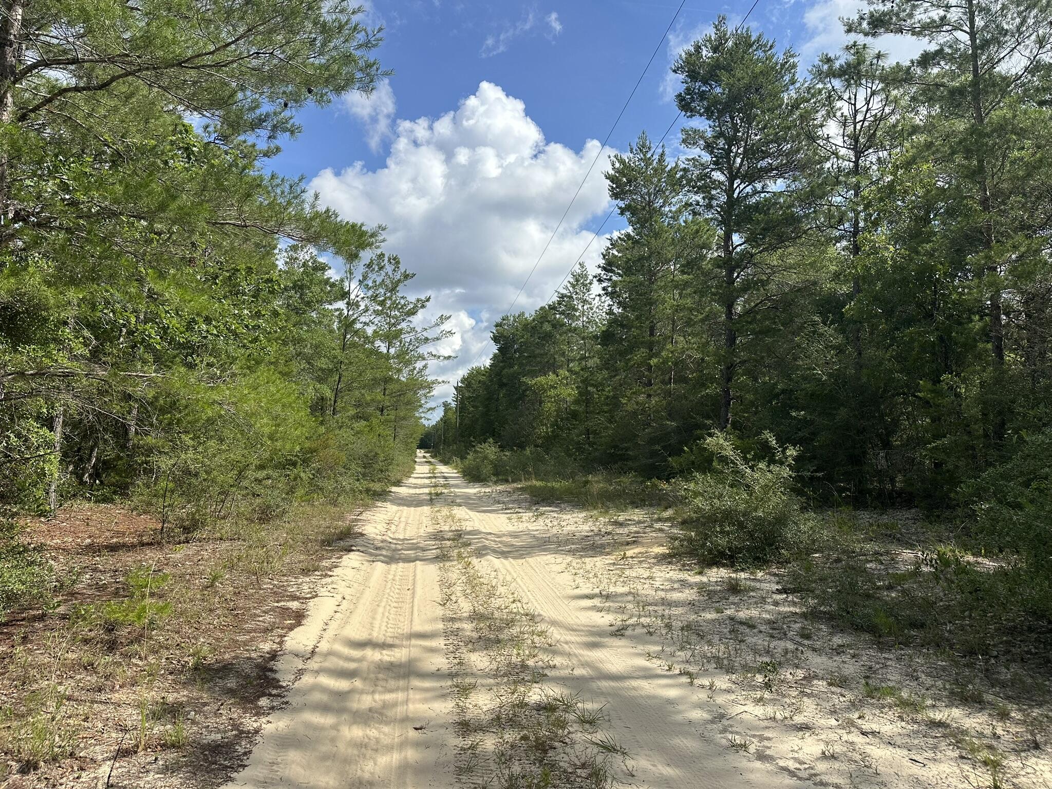Approximately +/-20 acres available on Shot Gun Trail in the E Shoal River area of Crestview, Florida. This parcel features a mix of natural landscape and open space in a quiet, rural setting. Suitable for a range of potential uses including recreation, homesteading, or future investment. Located with access to surrounding areas and local roadways, this property offers flexibility and room to grow.