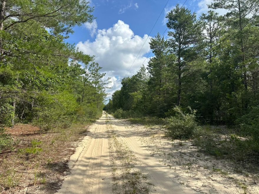 Approximately +/-20 acres available on Shot Gun Trail in the E Shoal River area of Crestview, Florida. This parcel features a mix of natural landscape and open space in a quiet, rural setting. Suitable for a range of potential uses including recreation, homesteading, or future investment. Located with access to surrounding areas and local roadways, this property offers flexibility and room to grow.