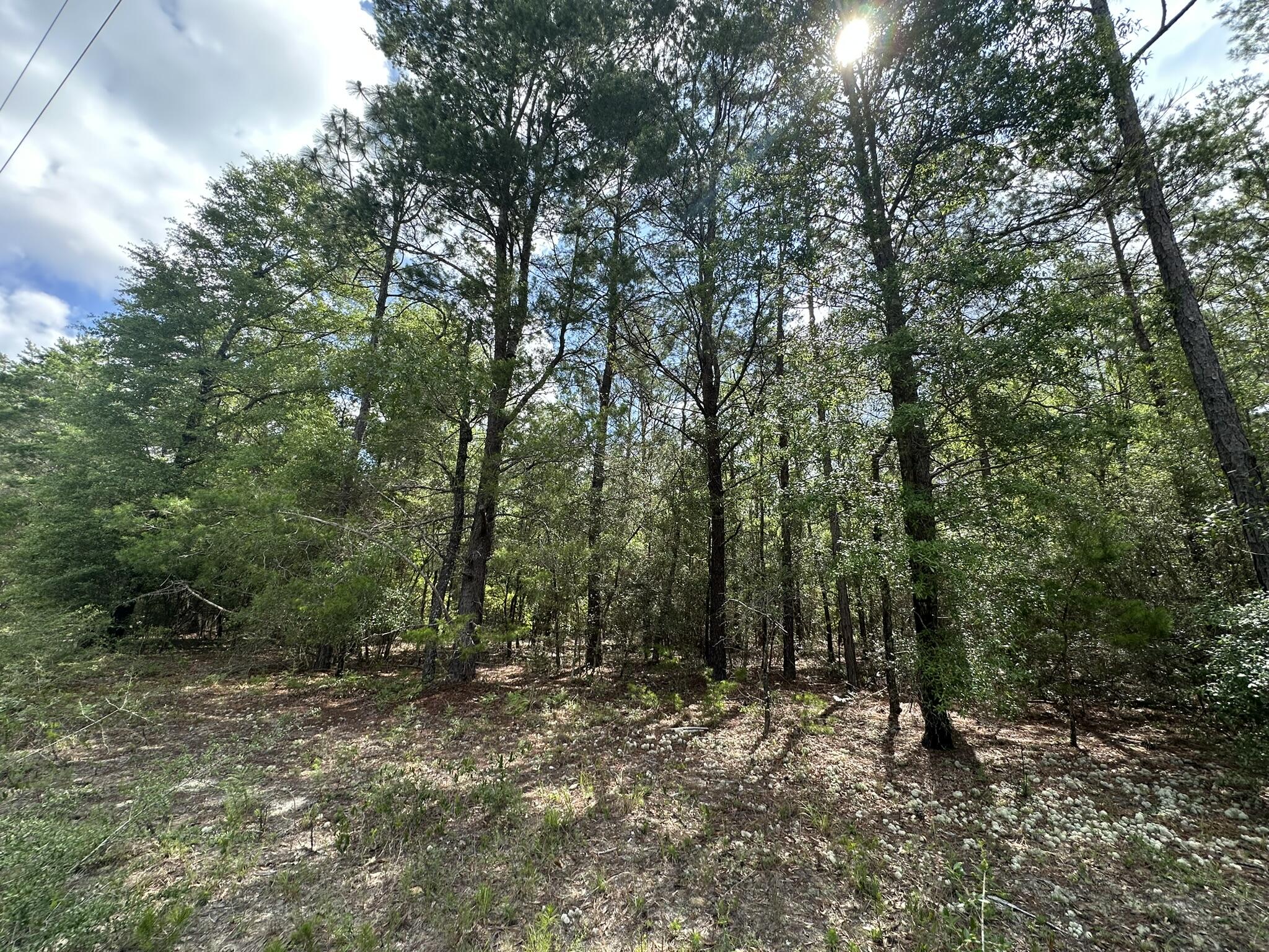 NO RECORDED SUBDIVISION - Land