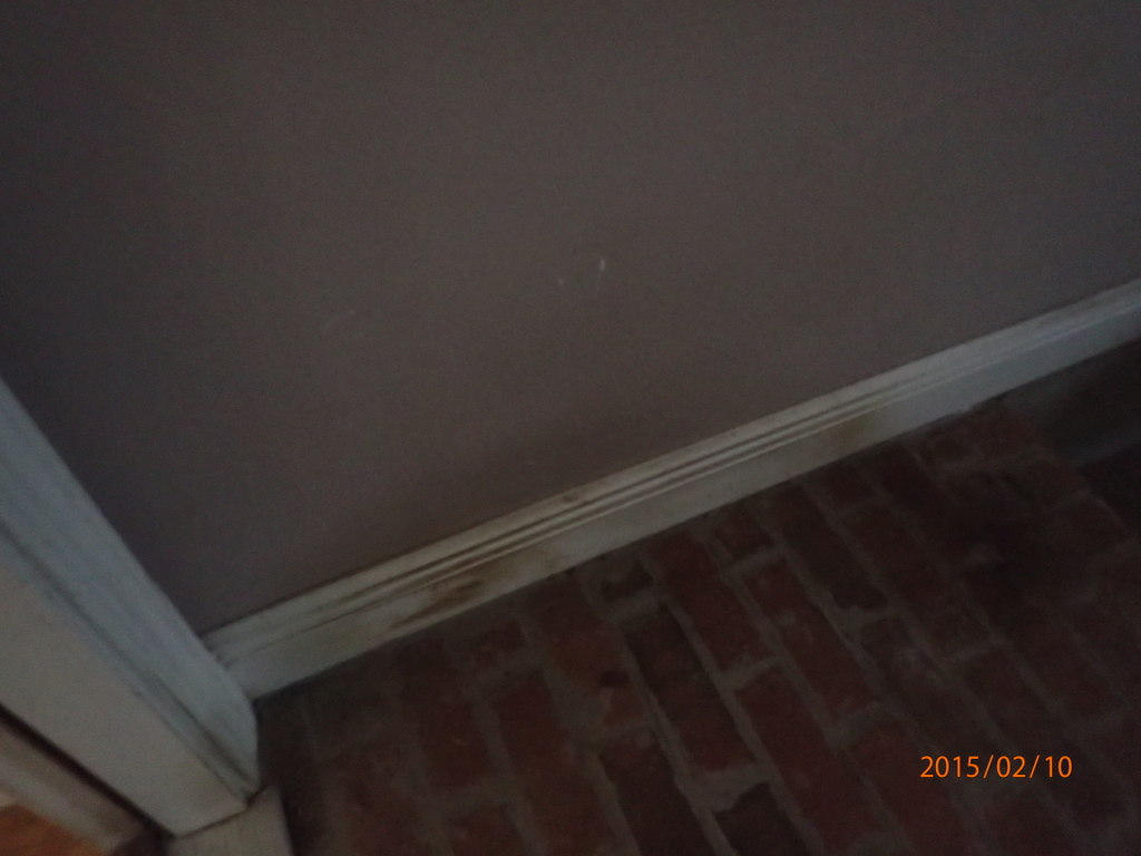 WINDSWEPT ESTATES - Residential