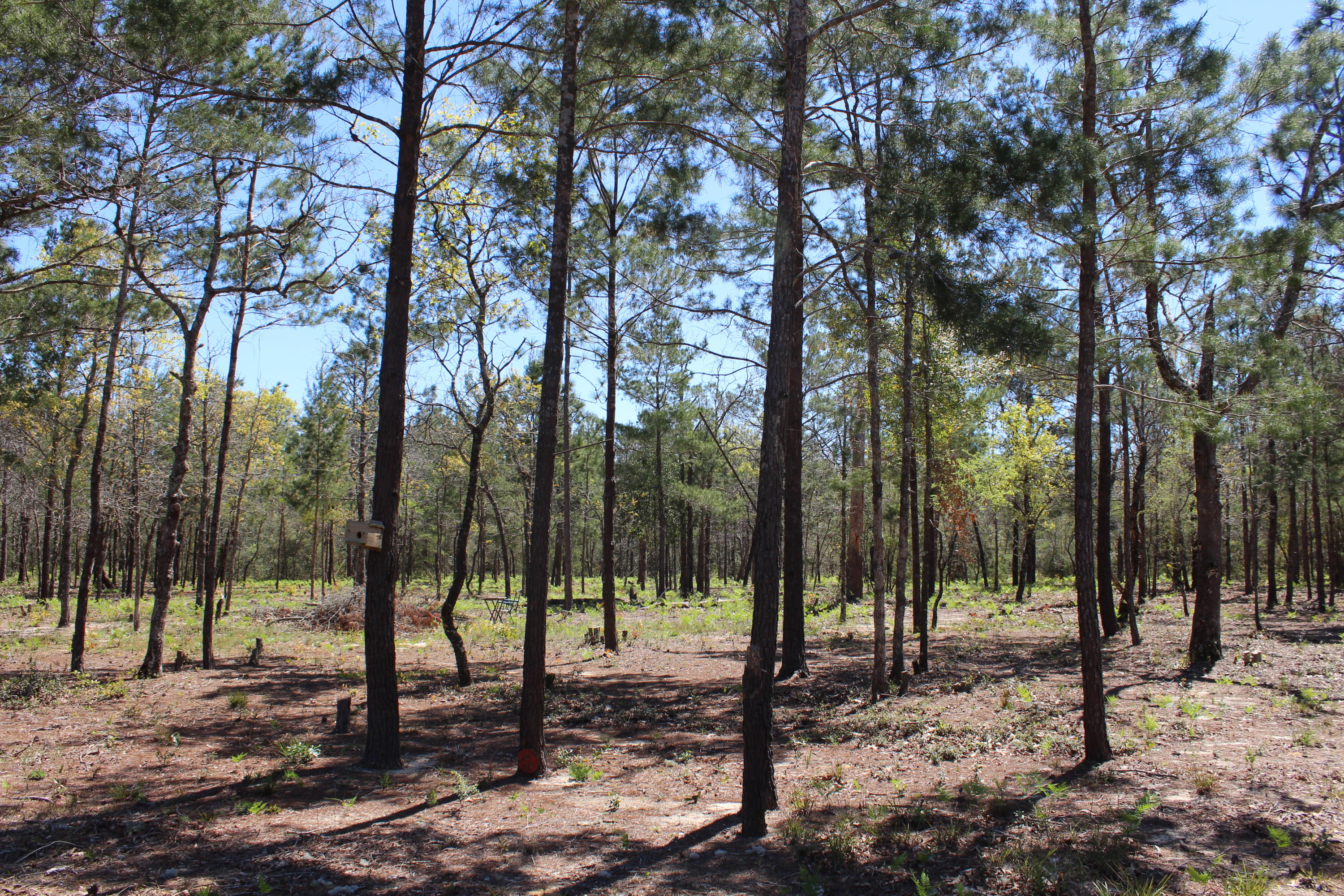 Laird Creek Farms - Residential