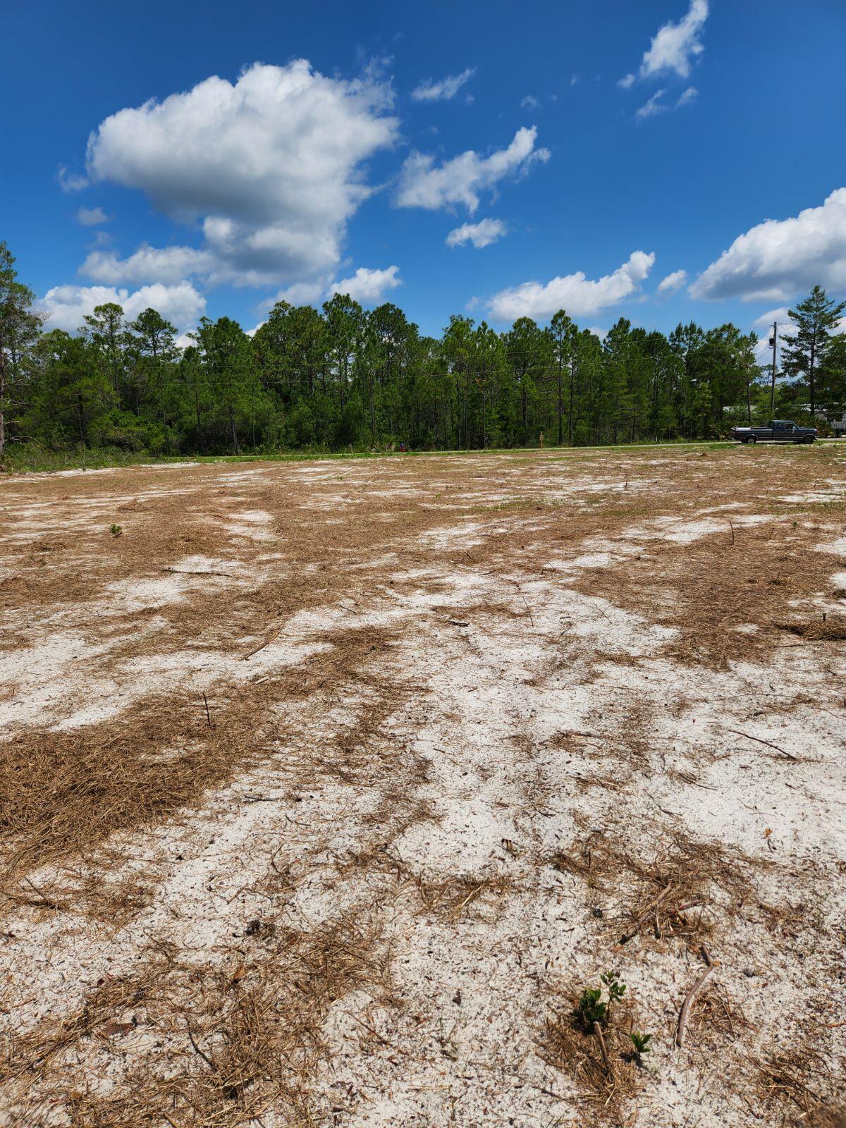 Destiny's Subdivision - Carrabelle - Land