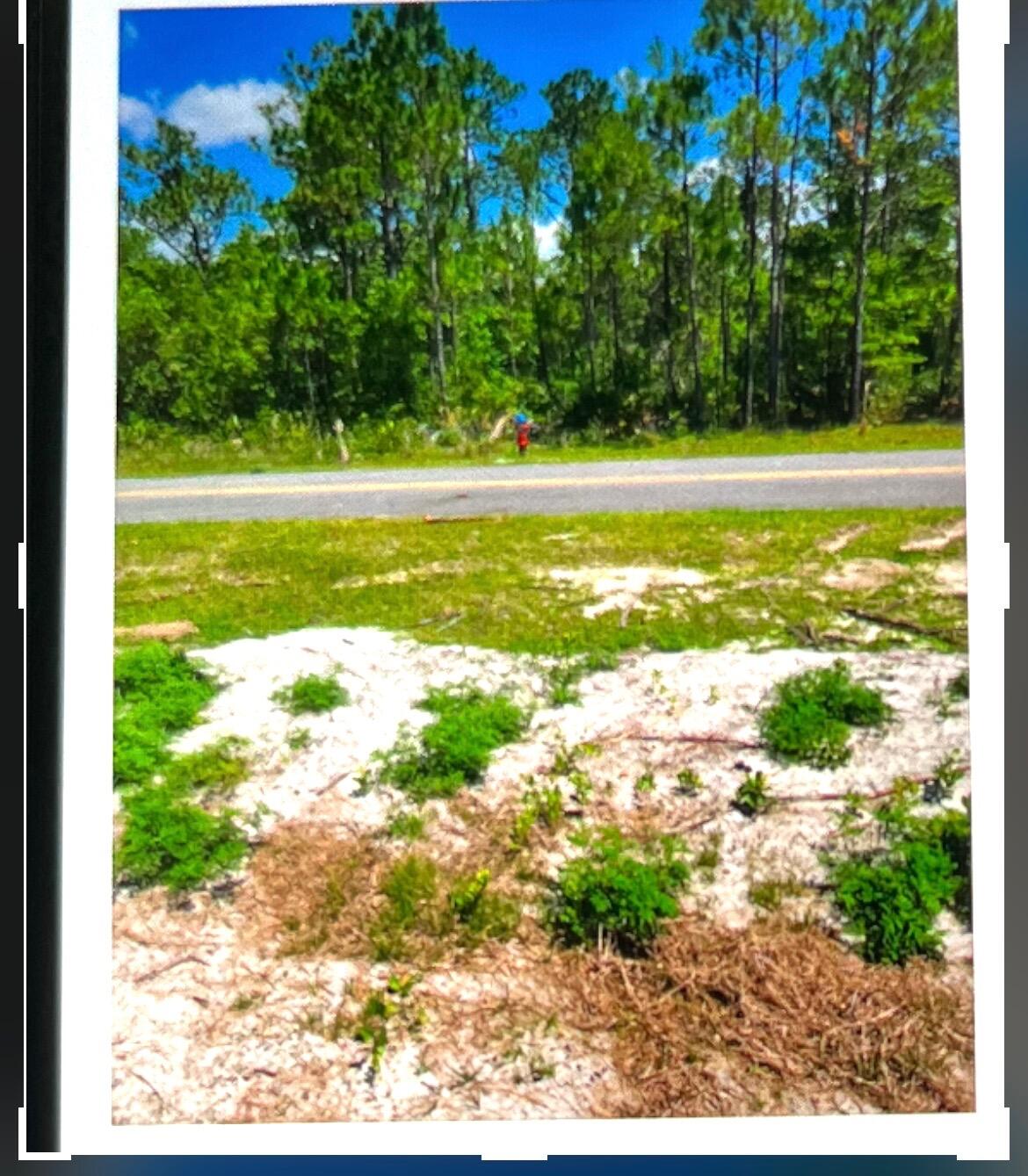 Destiny's Subdivision - Carrabelle - Land