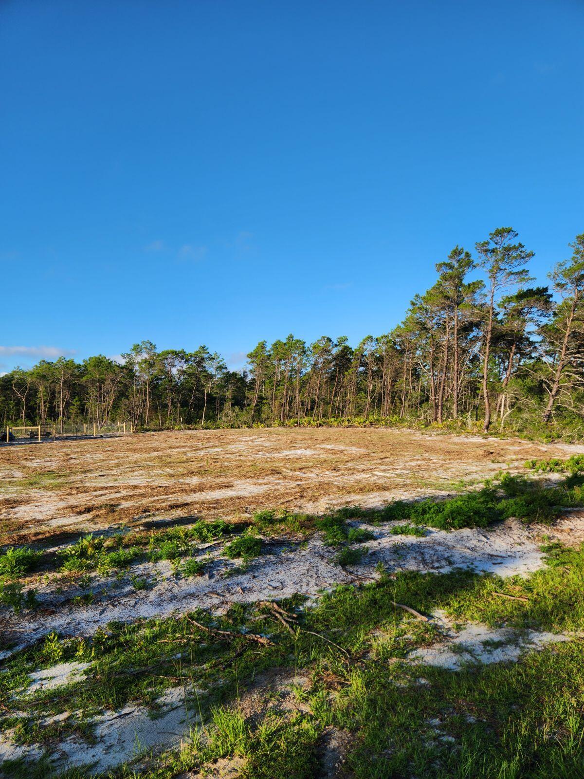 Destiny's Subdivision - Carrabelle - Land