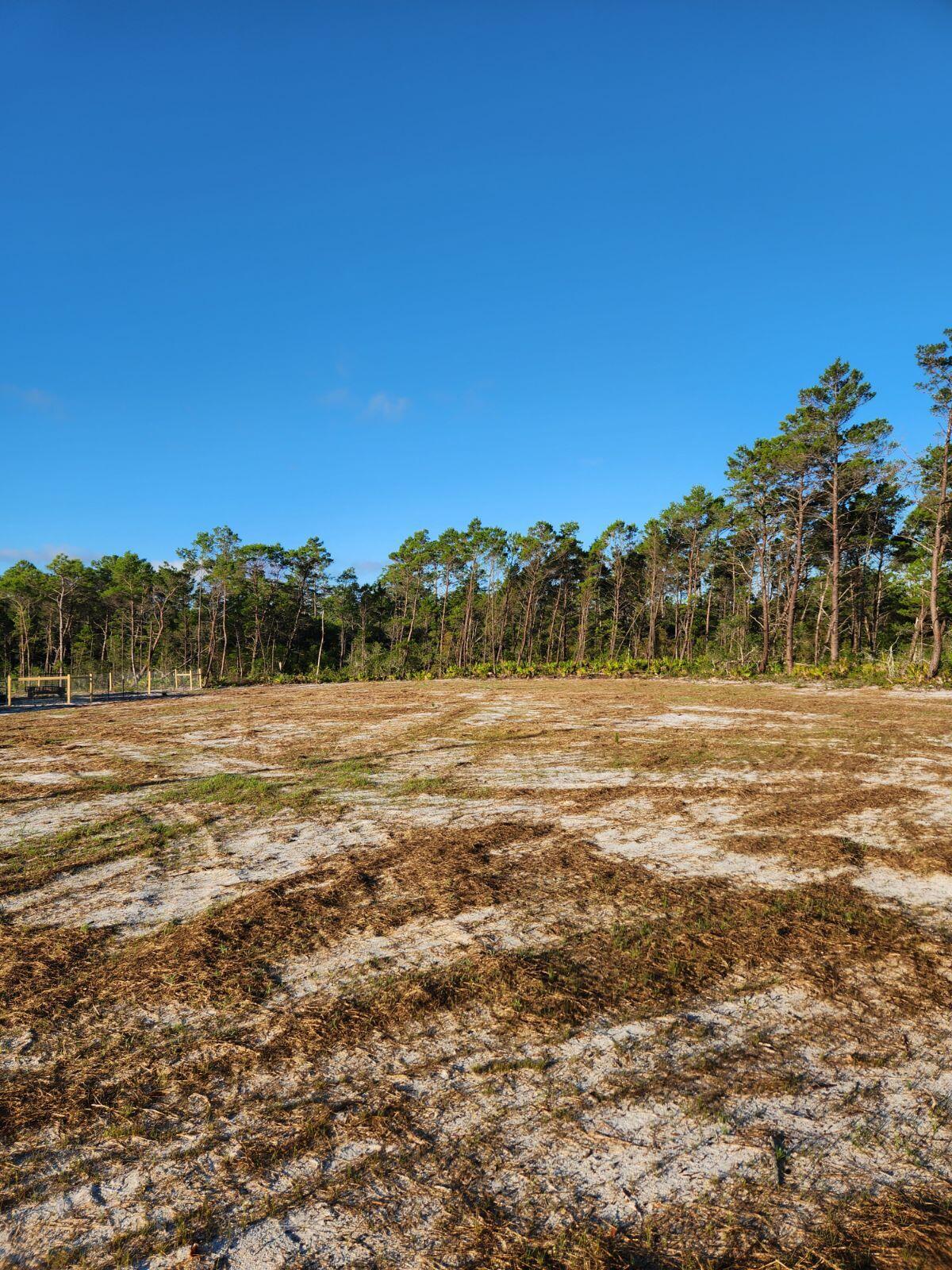 Destiny's Subdivision - Carrabelle - Land