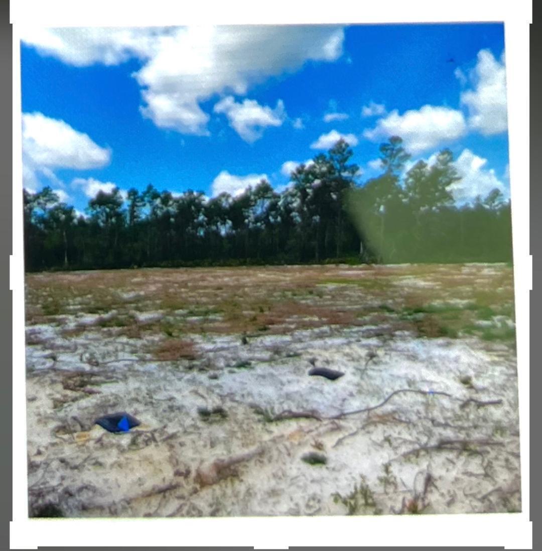 Destiny's Subdivision - Carrabelle - Land