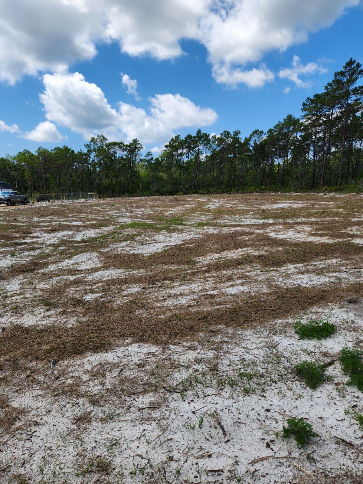 Destiny's Subdivision - Carrabelle - Land