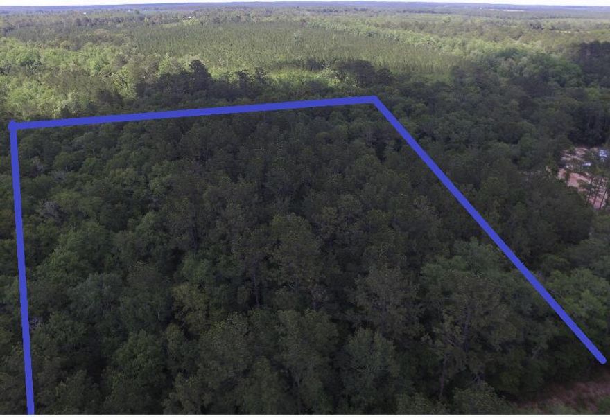 Your paradise awaits to build your dream home or get away home on this 5 acre tract located off the beaten path in North Walton county!!  Just 45 min. to beaches and 15 min. to Defuniak Springs/I-10.  Beautiful wooded parcel off asphalt millings paved road not 1/2 mile off CR 183-B. Property does have a powerline easement on South side of parcel.