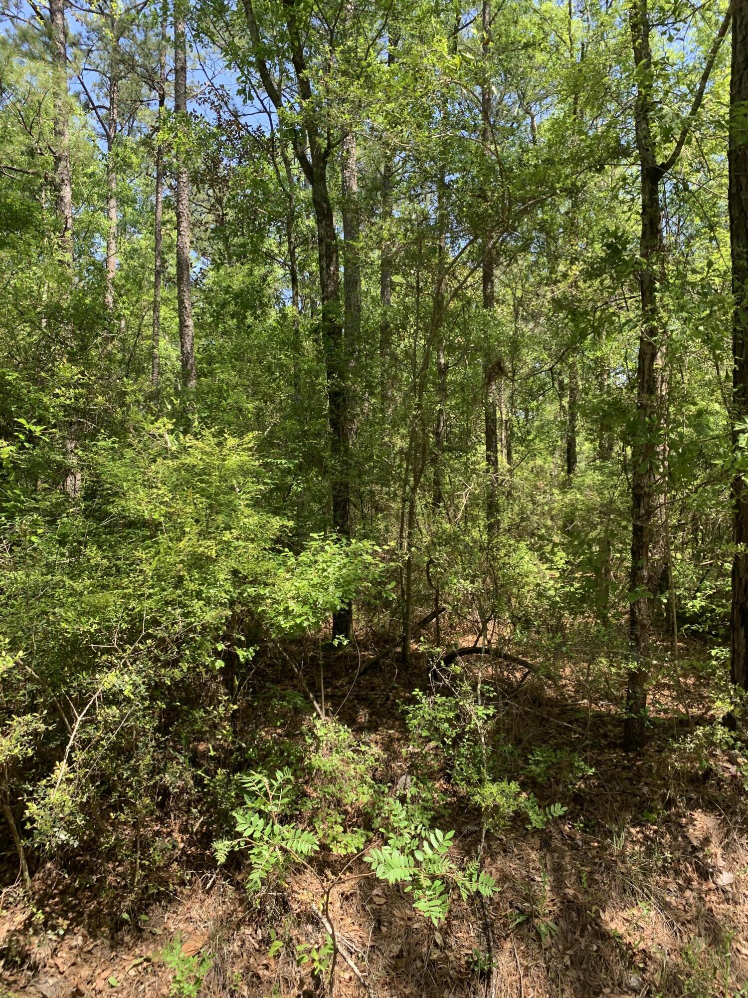 Helseth/Stroh - Land