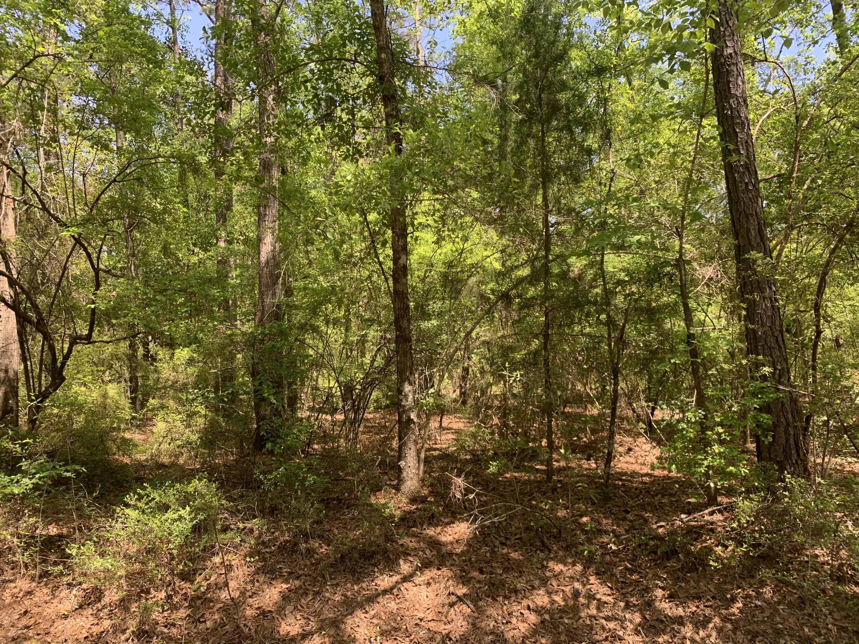 Helseth/Stroh - Land