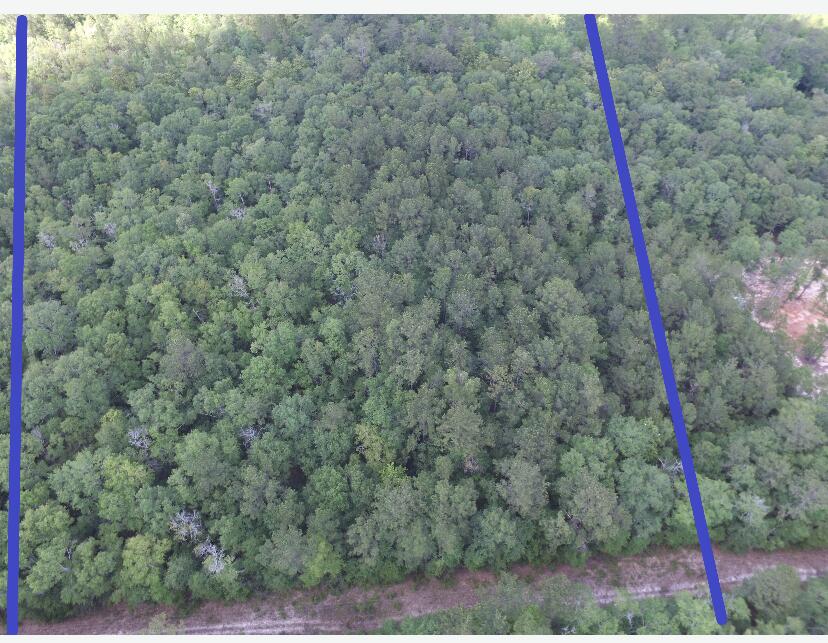 Helseth/Stroh - Land