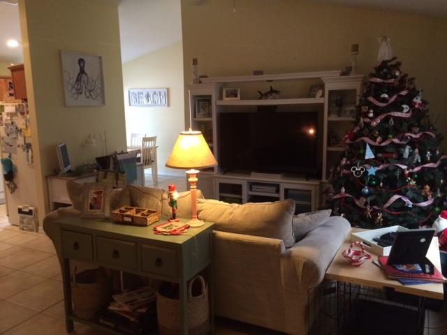 PALMETTO PLANTATION - Residential