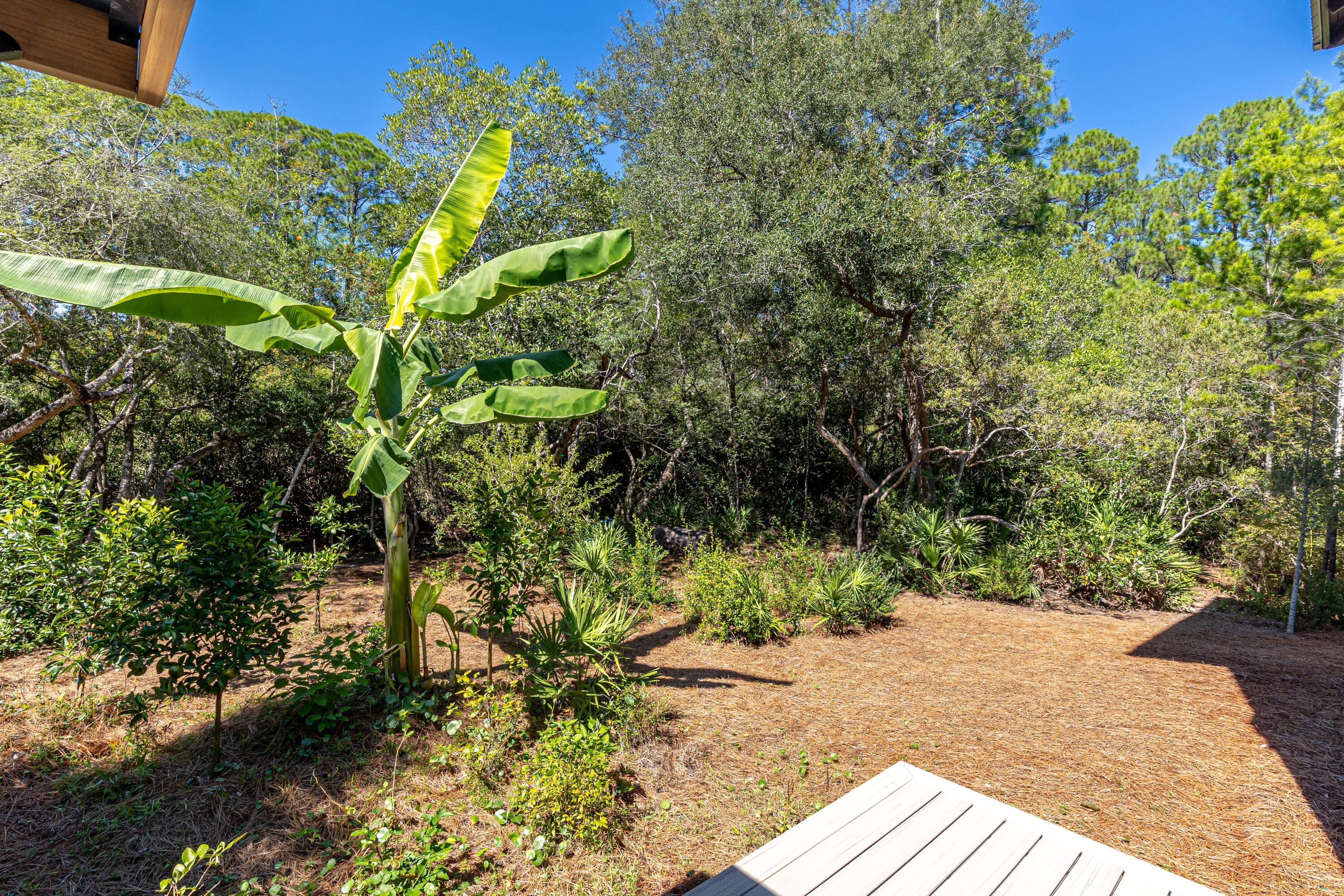 GRAYTON BAYOU - Residential