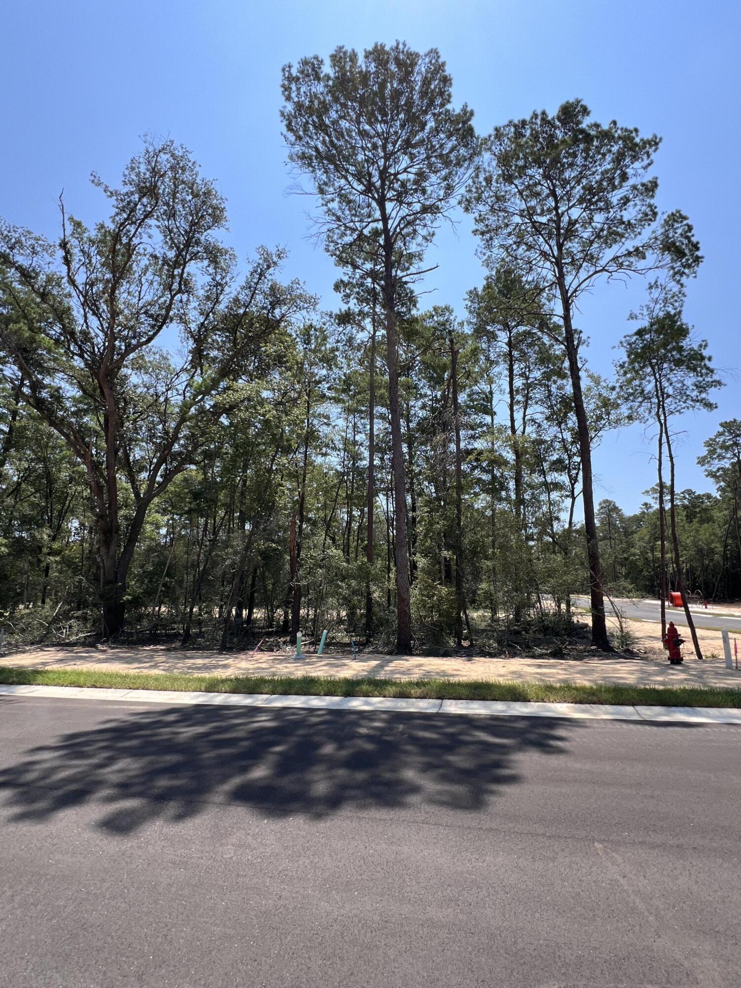 Deer Moss Creek - Land
